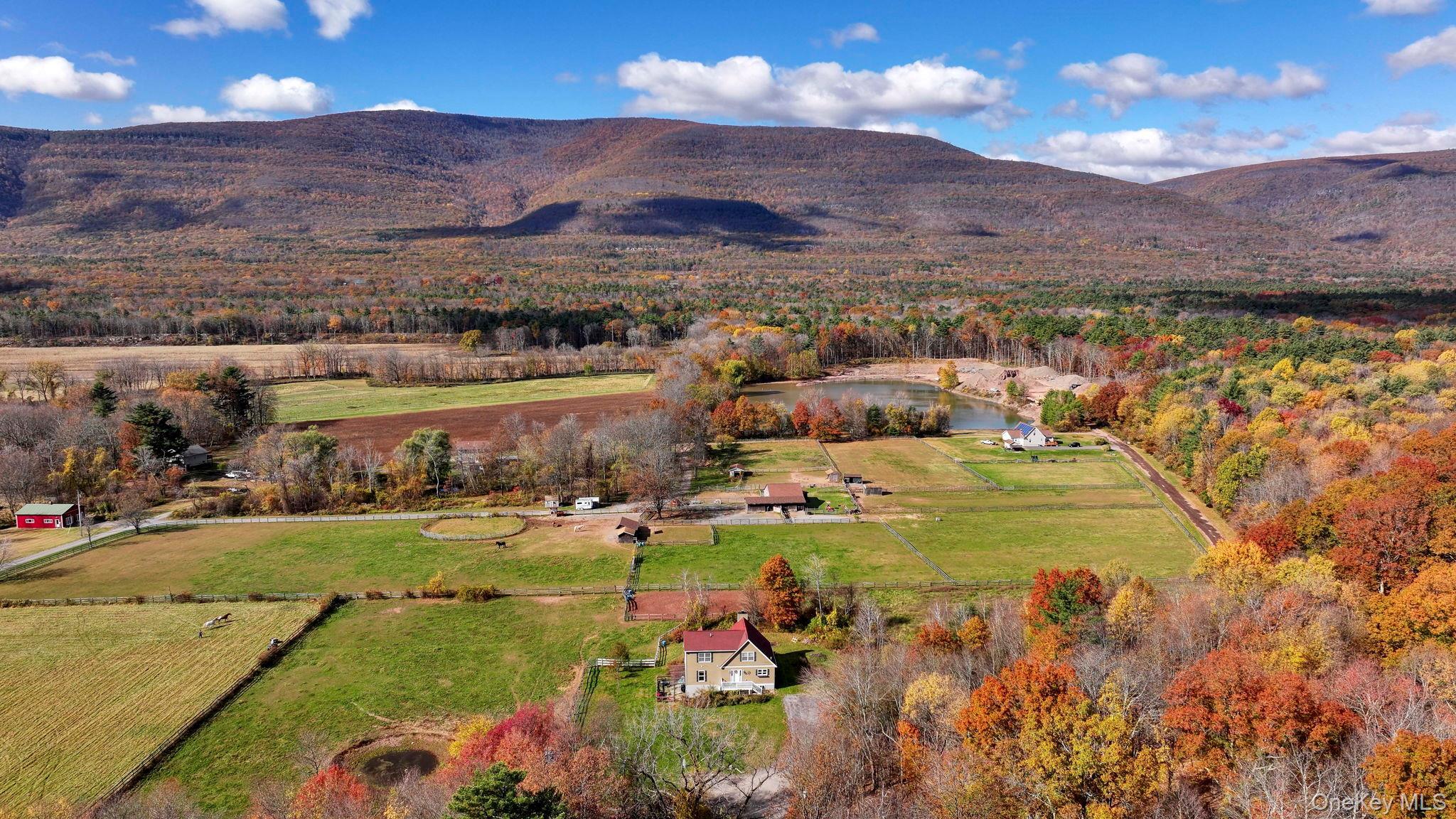 Single Family Route 32 Ulster County, NY 12477, MLS-929618-39