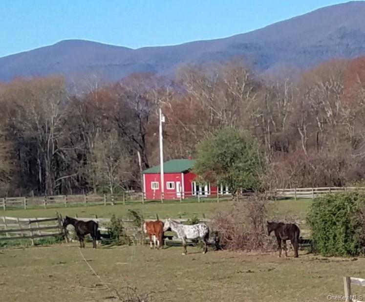 Single Family Route 32 Ulster County, NY 12477, MLS-929618-40