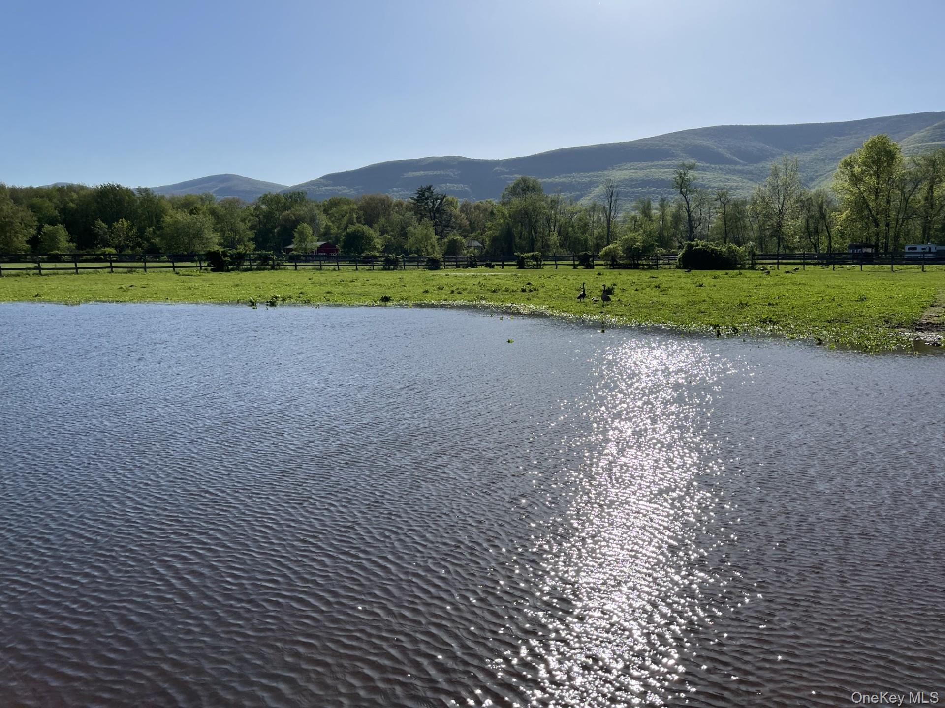 Single Family Route 32 Ulster County, NY 12477, MLS-929618-41