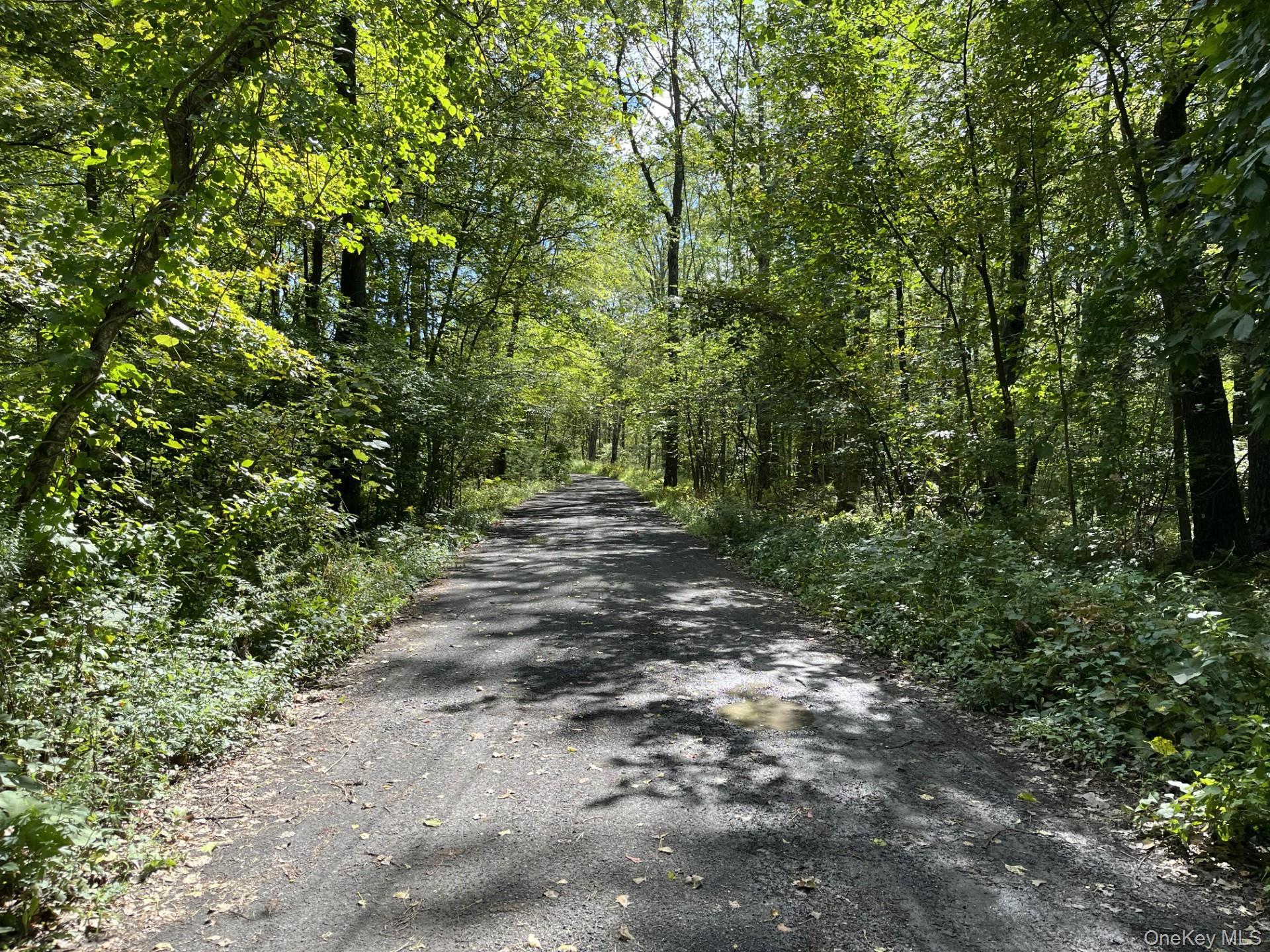 Single Family Route 32 Ulster County, NY 12477, MLS-929618-42