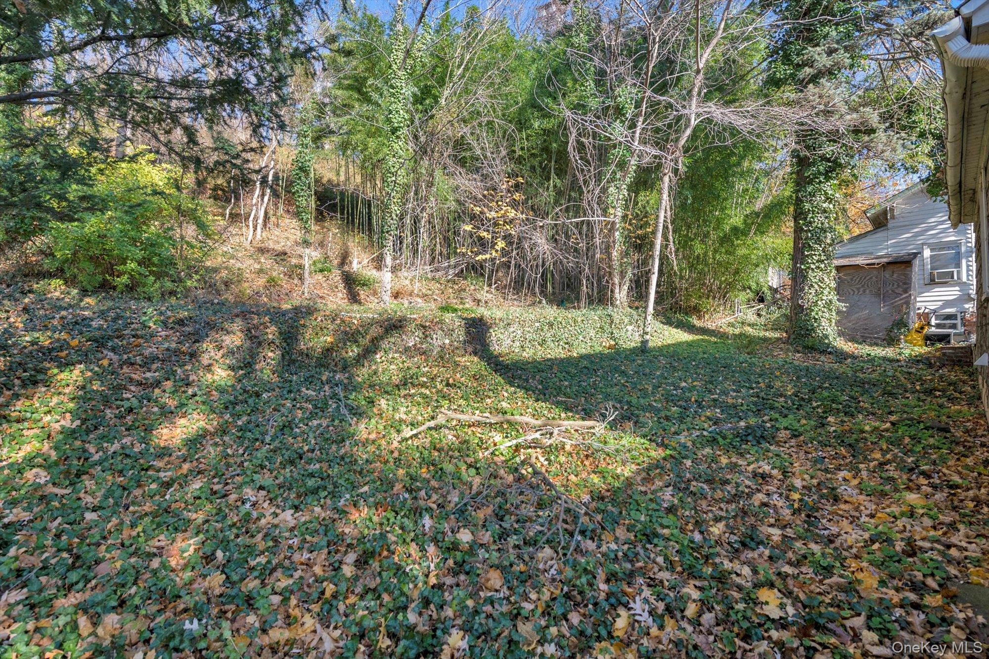 Single Family Northern Nassau County, NY 11576, MLS-929624-12