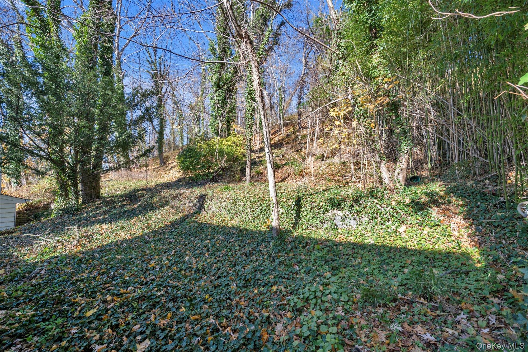 Single Family Northern Nassau County, NY 11576, MLS-929624-13