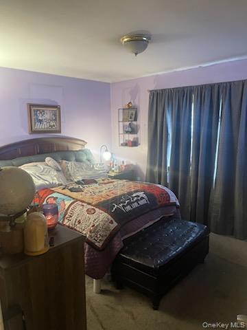 Single Family Claridge  Nassau County, NY 11003, MLS-929642-6