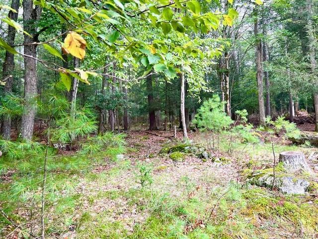 Single Family County Road 21  Sullivan County, NY 12719, MLS-929717-16