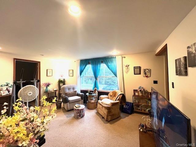 Single Family County Road 21  Sullivan County, NY 12719, MLS-929717-3