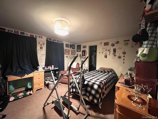 Single Family County Road 21  Sullivan County, NY 12719, MLS-929717-8