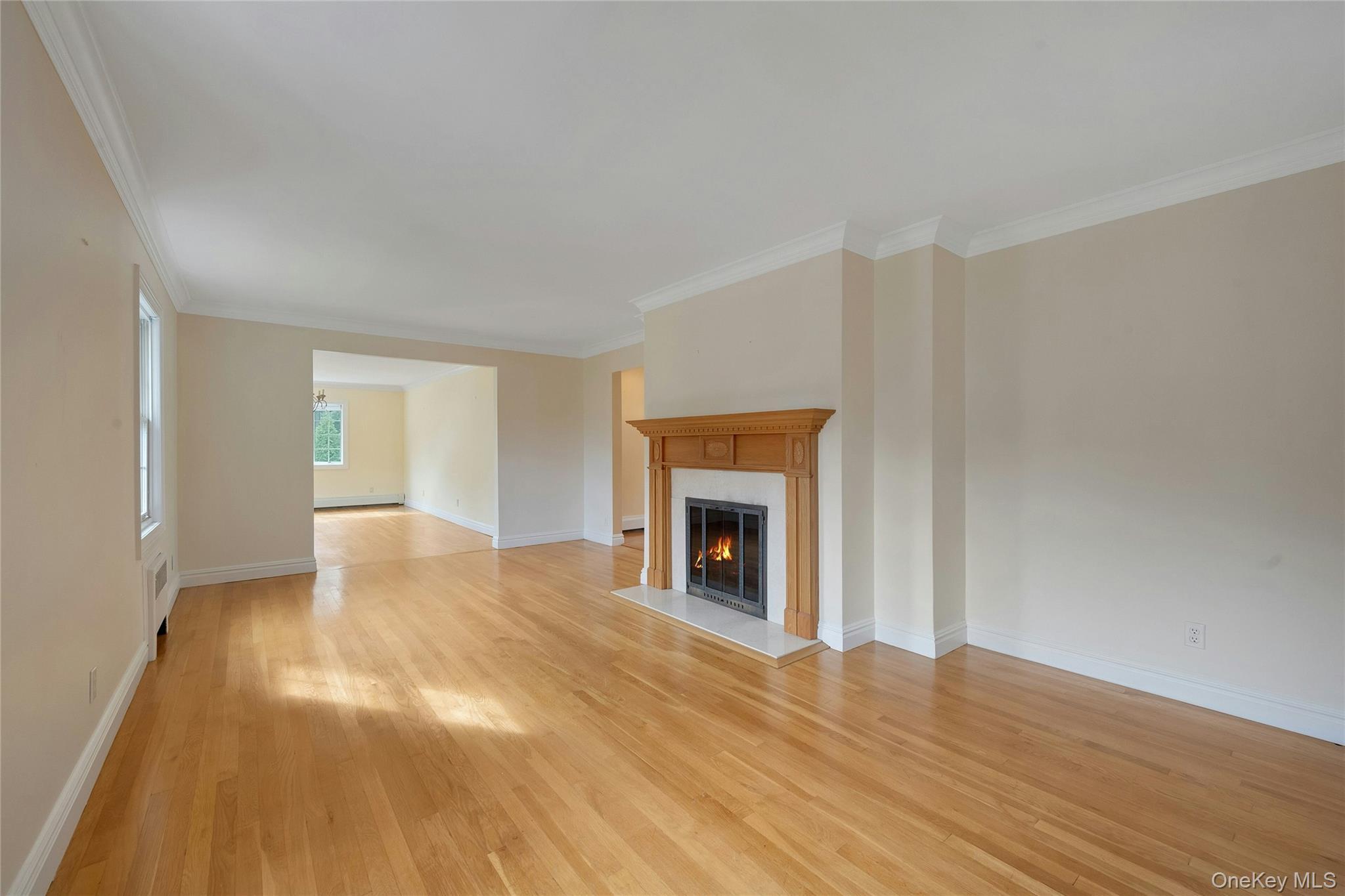 Single Family Clarence  Westchester County, NY 10583, MLS-929765-6