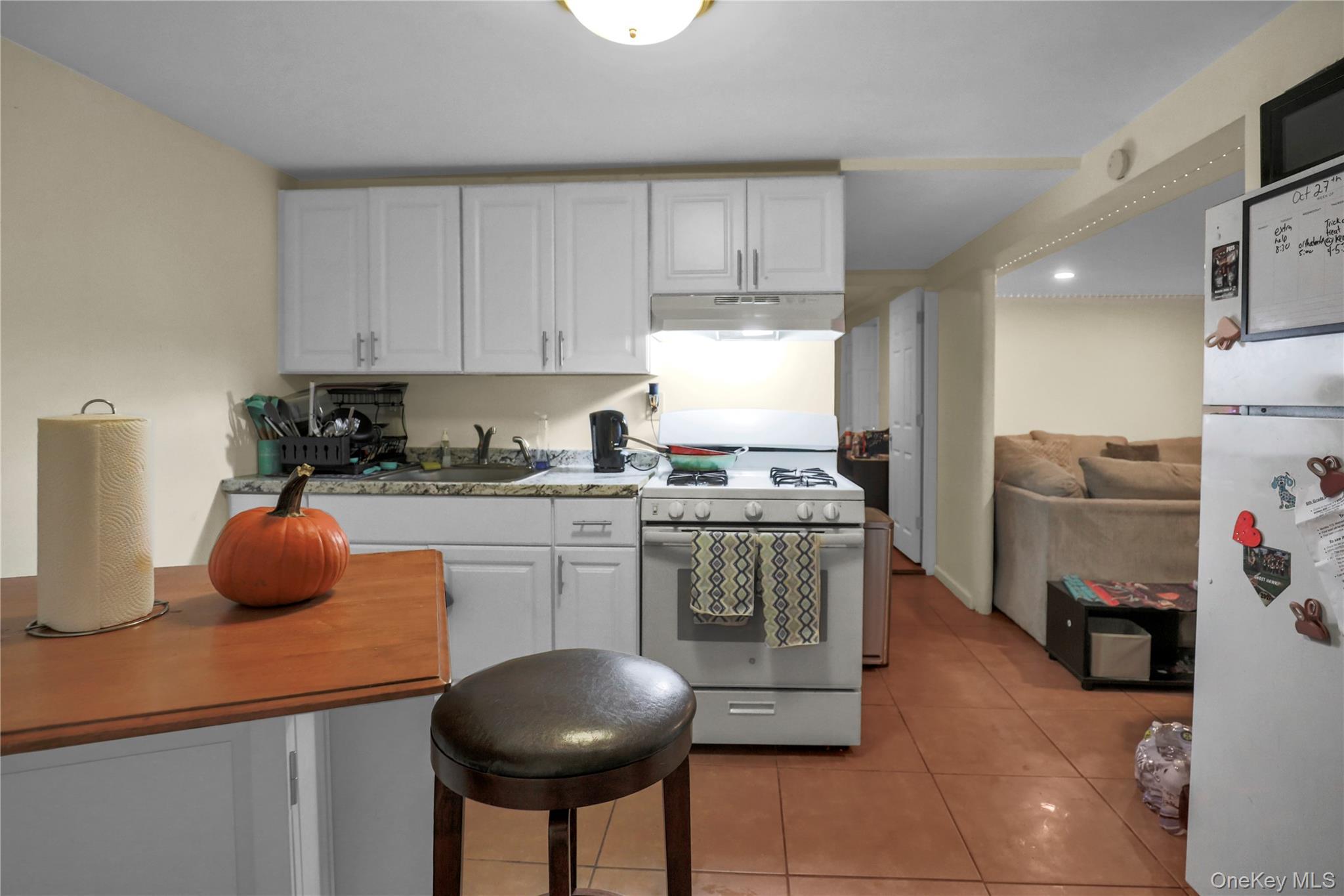 Single Family Berkshire  Nassau County, NY 11566, MLS-929770-17