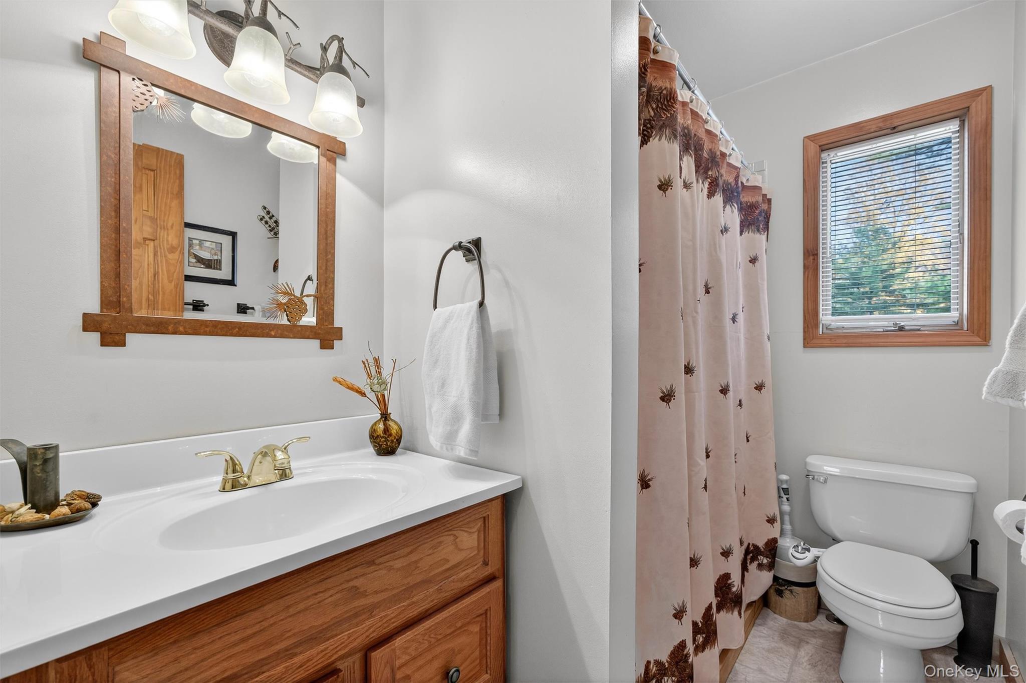 Single Family Lakeview Drive  Sullivan County, NY 12743, MLS-929779-36