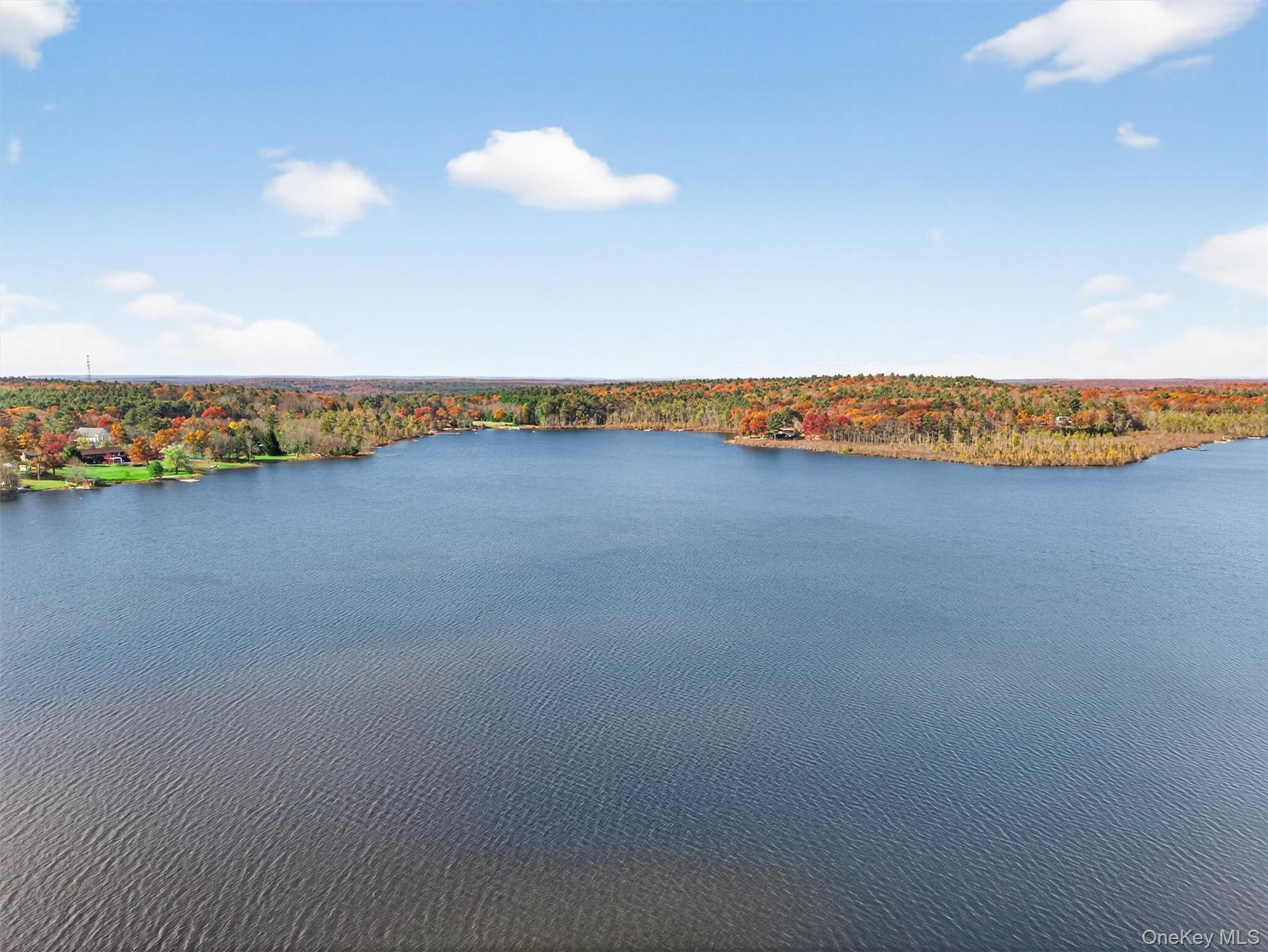 Single Family Lakeview Drive  Sullivan County, NY 12743, MLS-929779-4