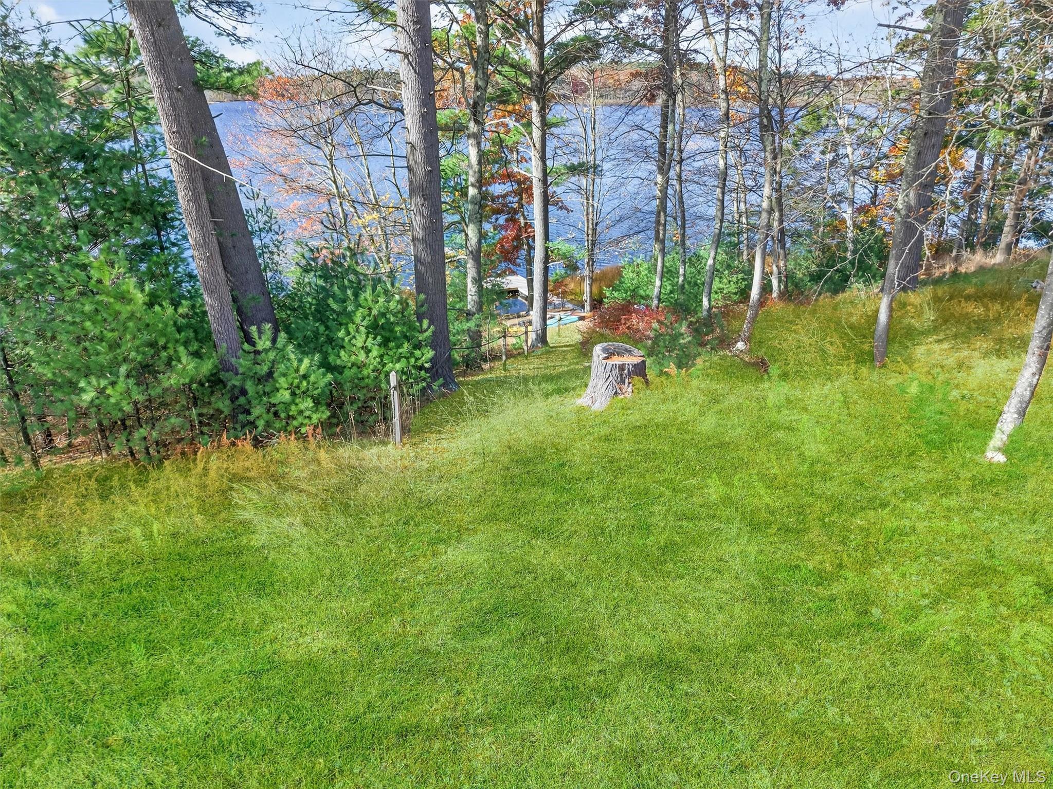 Single Family Lakeview Drive  Sullivan County, NY 12743, MLS-929779-46