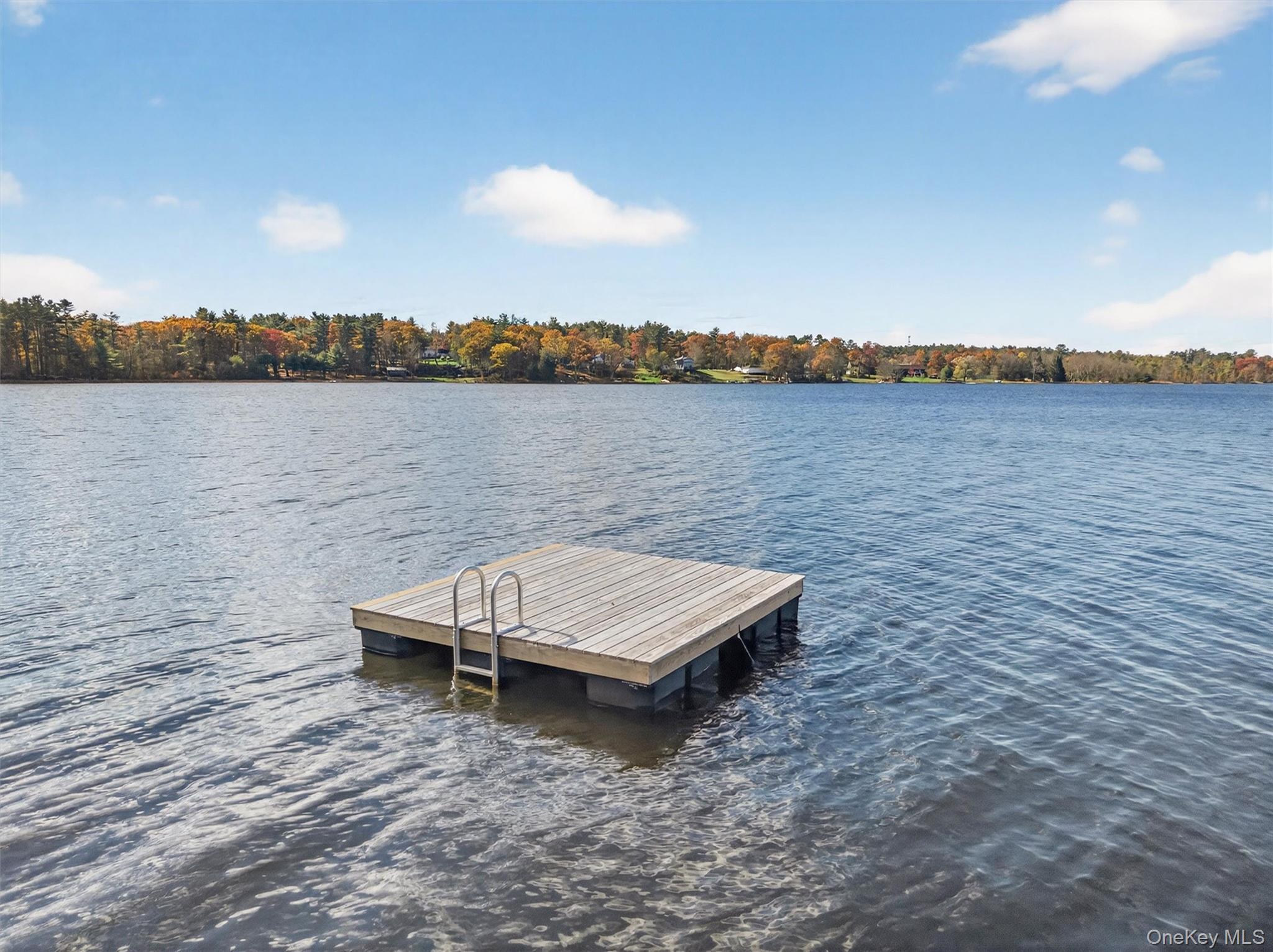 Single Family Lakeview Drive  Sullivan County, NY 12743, MLS-929779-48