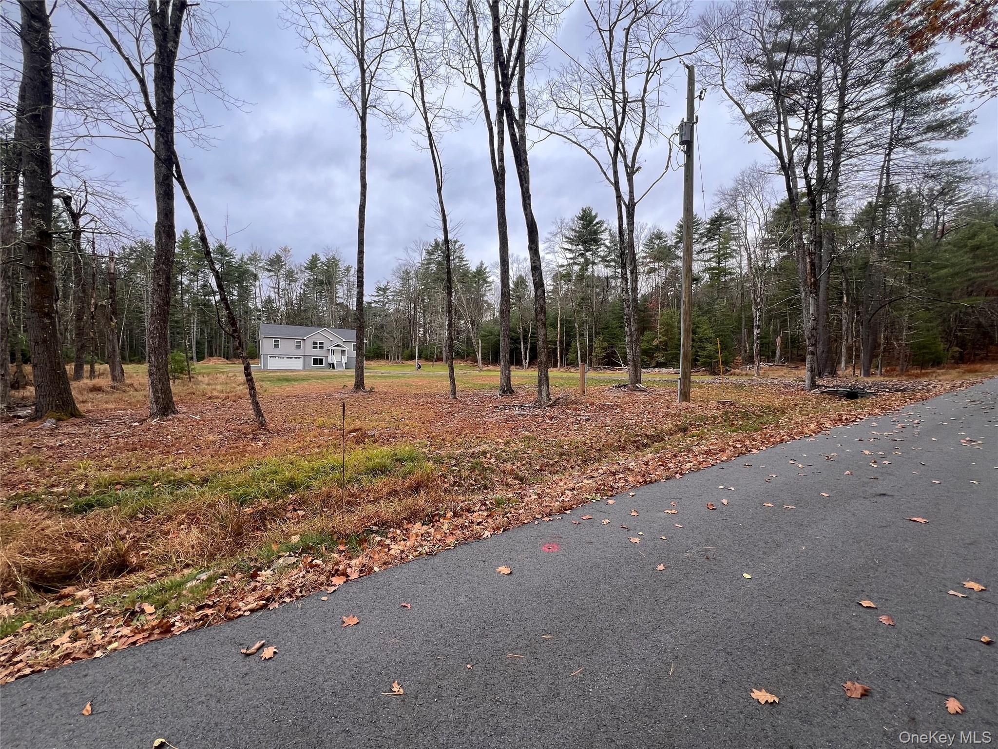 Single Family Summit Sullivan County, NY 12719, MLS-929802-2