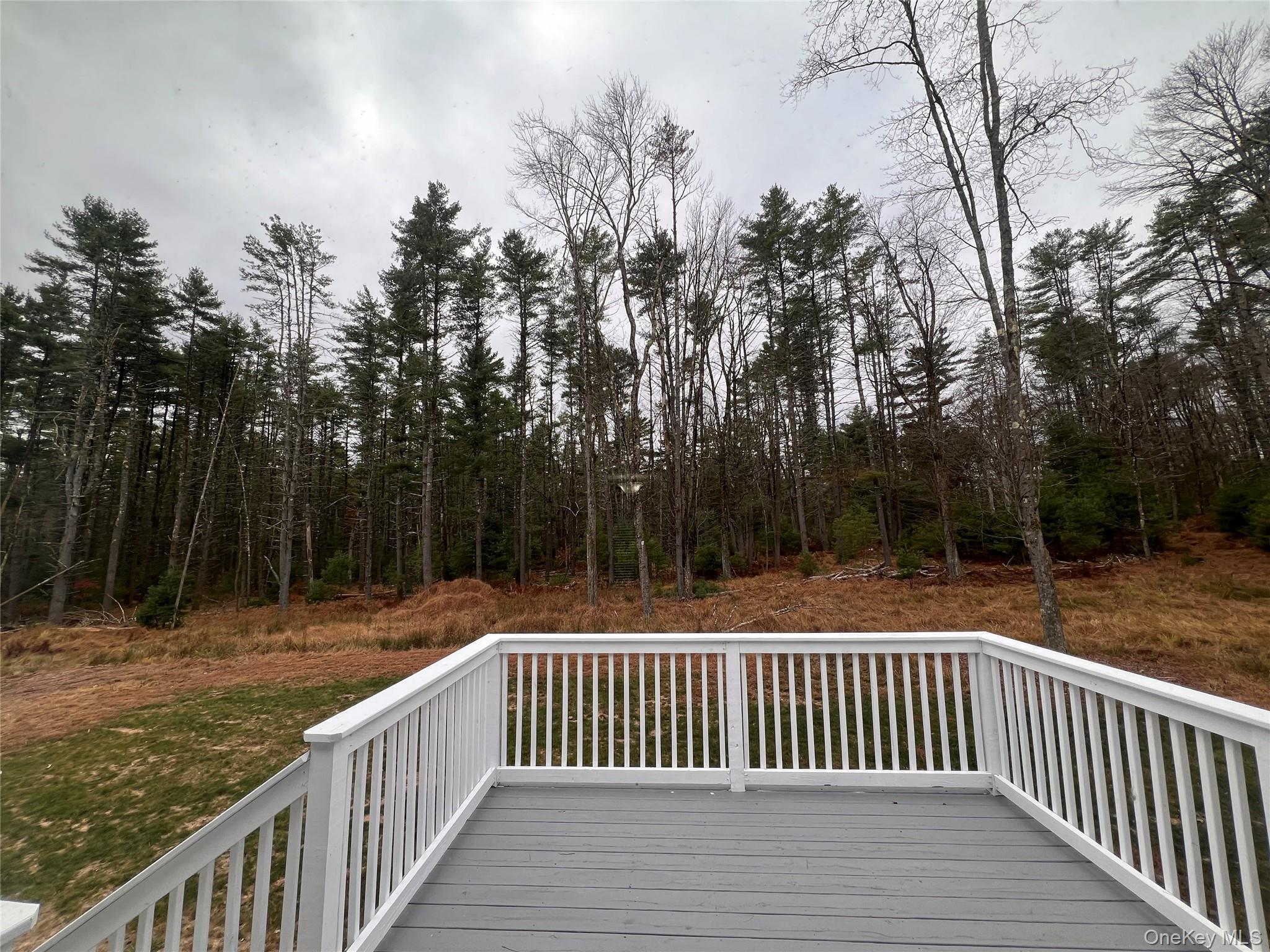 Single Family Summit Sullivan County, NY 12719, MLS-929802-31