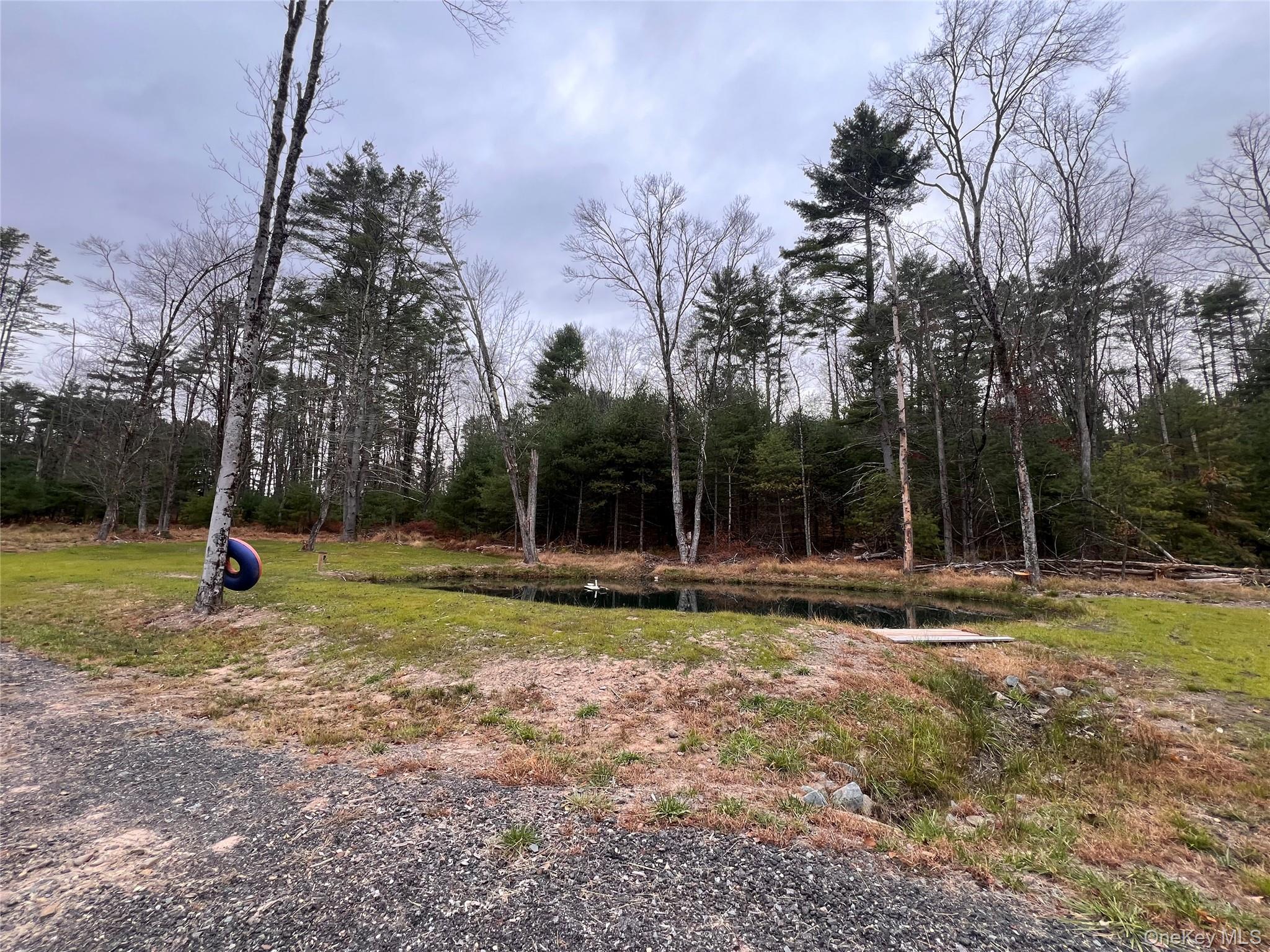 Single Family Summit Sullivan County, NY 12719, MLS-929802-41