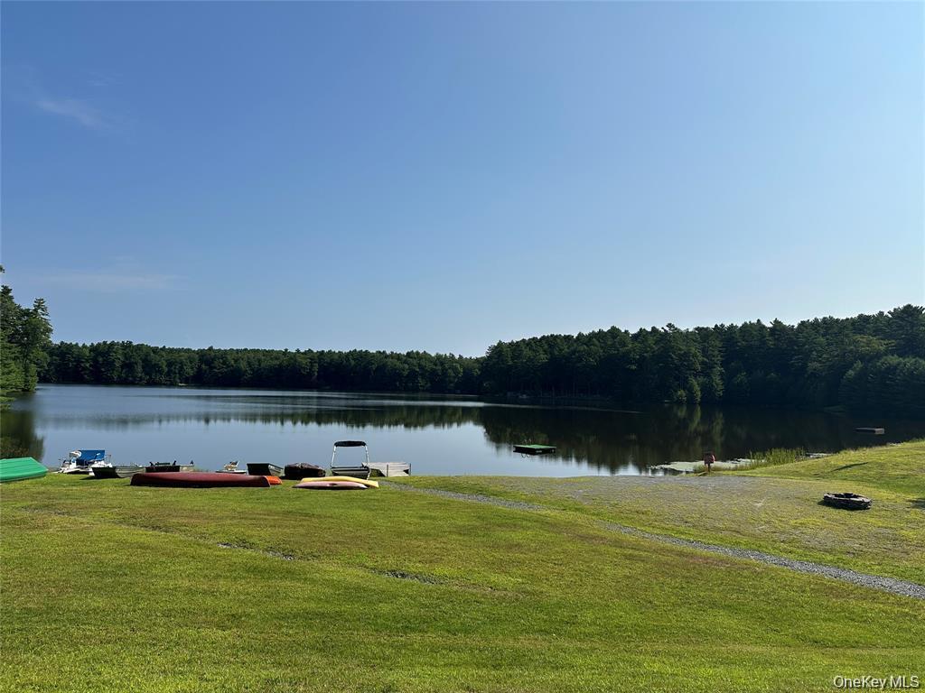 Single Family Summit Sullivan County, NY 12719, MLS-929802-43