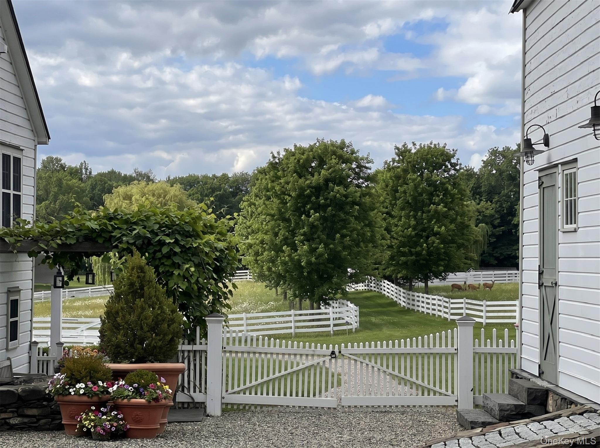 Single Family White Bridge Rd  Columbia County, NY 12136, MLS-929847-41