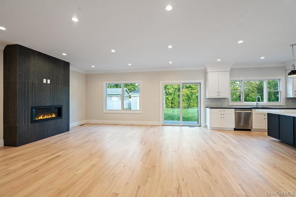 Single Family Netz Nassau County, NY 11507, MLS-929882-19