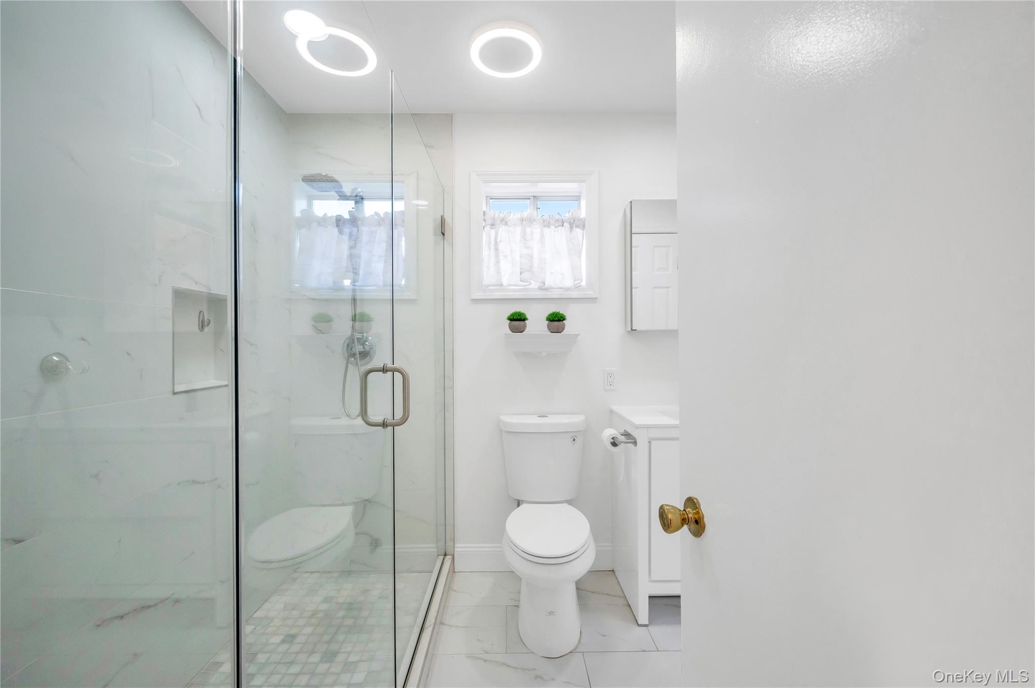 Single Family Michigan  Nassau County, NY 11561, MLS-929887-20