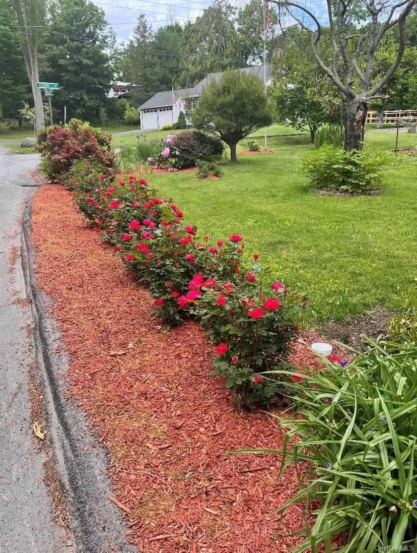 Single Family Cedar Orange County, NY 10930, MLS-929894-37