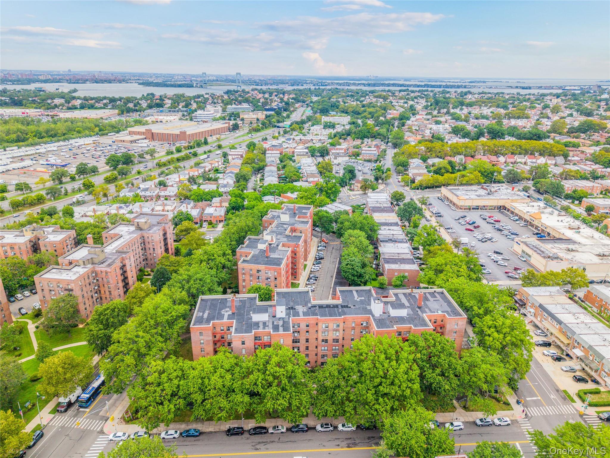 Coop 26  Queens, NY 11354, MLS-929956-11