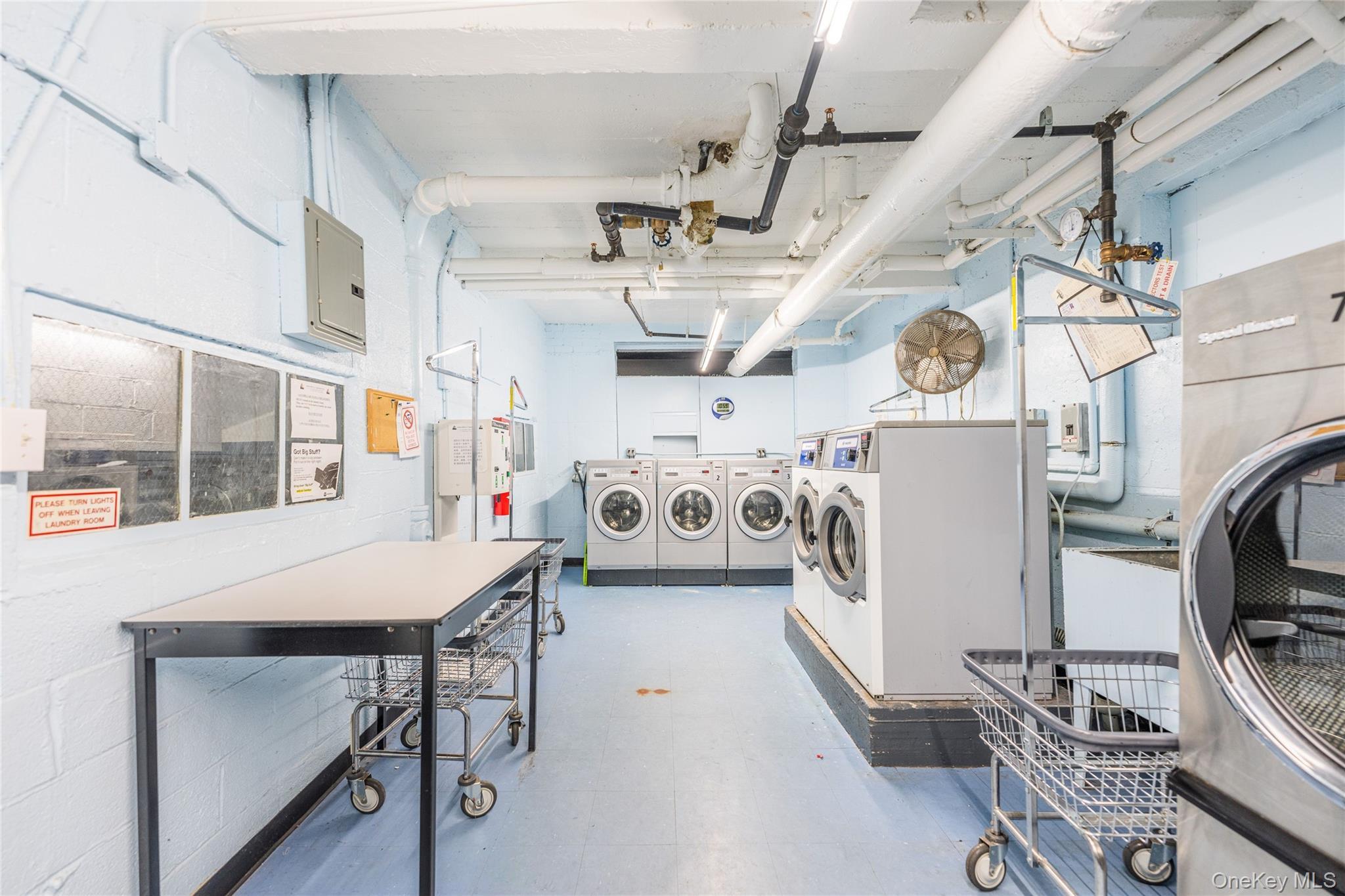 Coop 26  Queens, NY 11354, MLS-929956-9