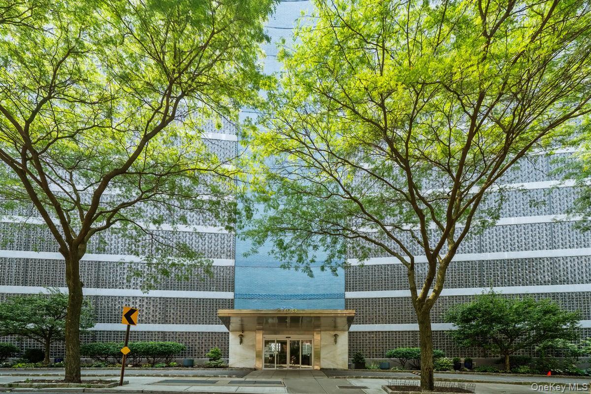 Coop Johnson  Bronx, NY 10463, MLS-929979-18