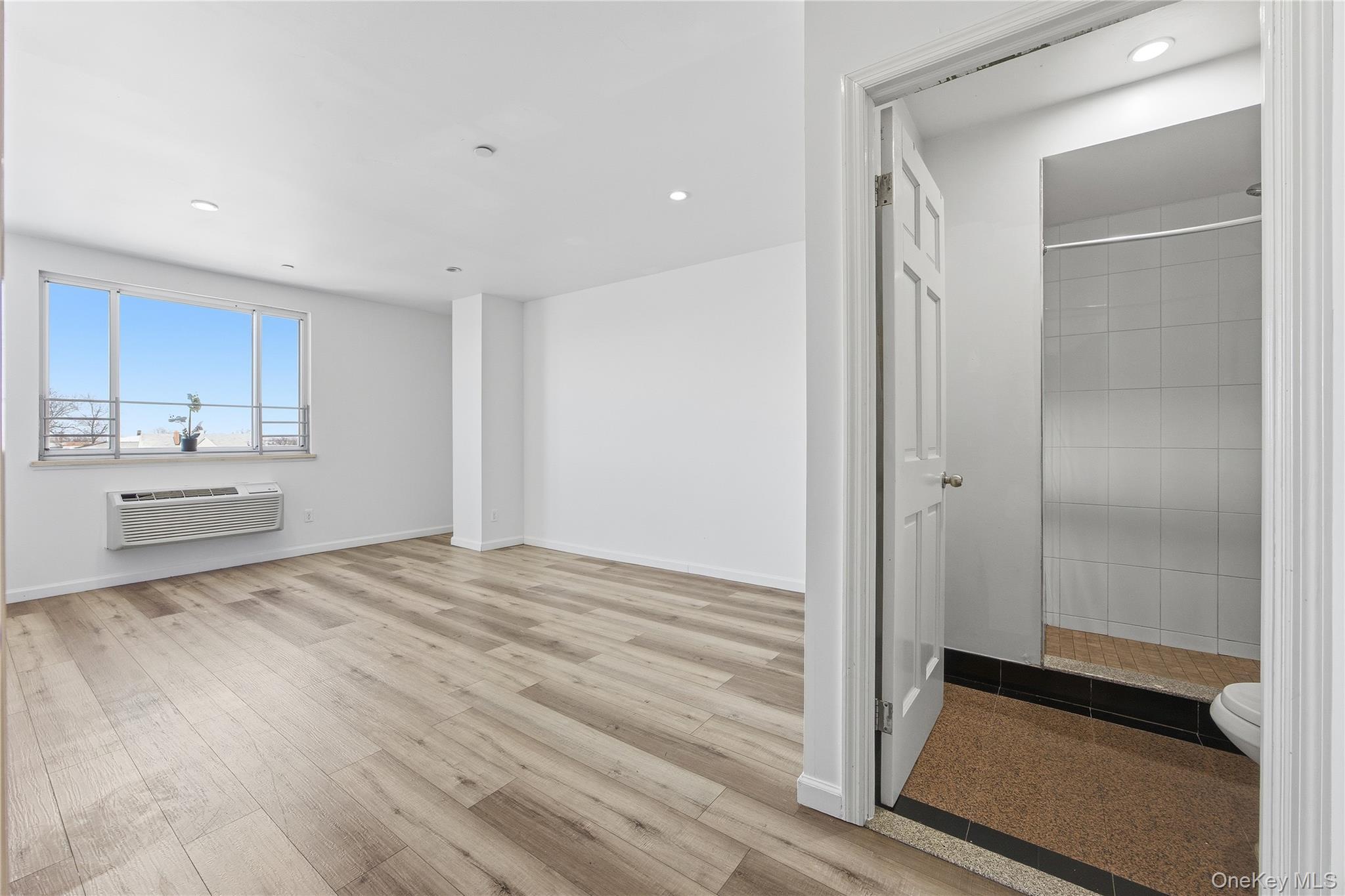 Condo Northern  Queens, NY 11368, MLS-930040-5