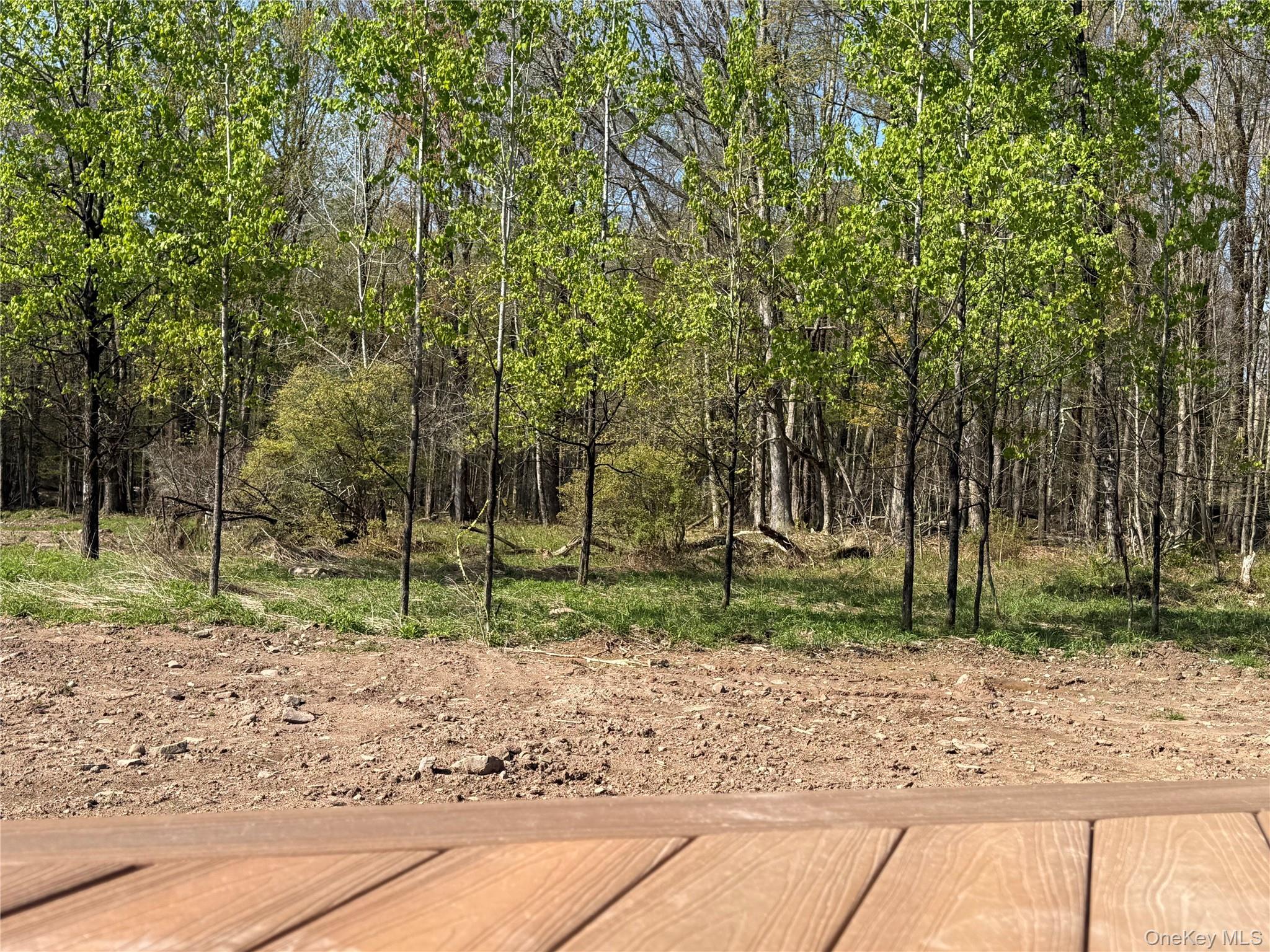 Single Family County Road 114  Sullivan County, NY 12726, MLS-930169-24