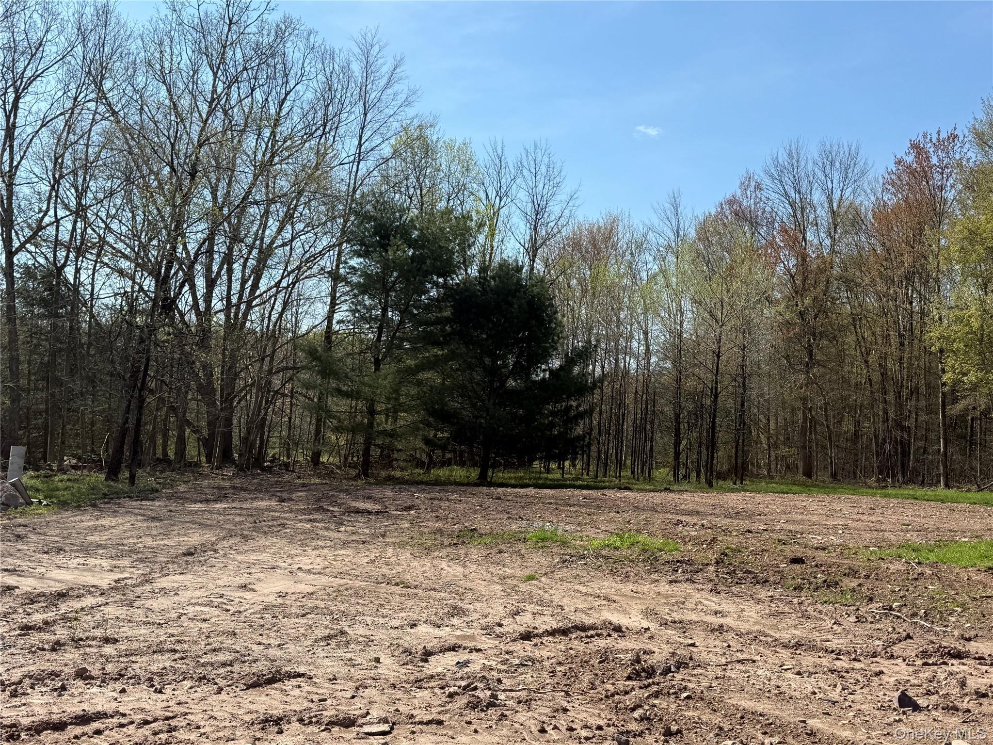 Single Family County Road 114  Sullivan County, NY 12726, MLS-930169-25