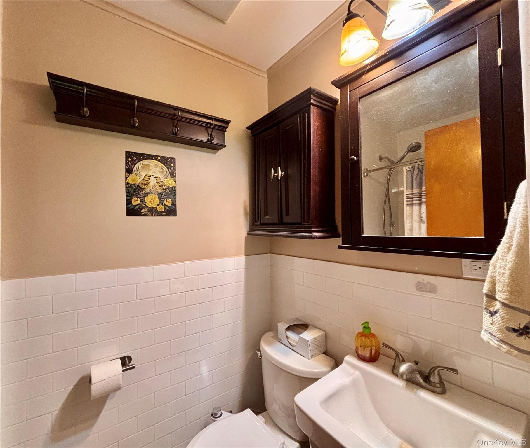 Single Family State Highway 28  Delaware County, NY 13753, MLS-930196-15