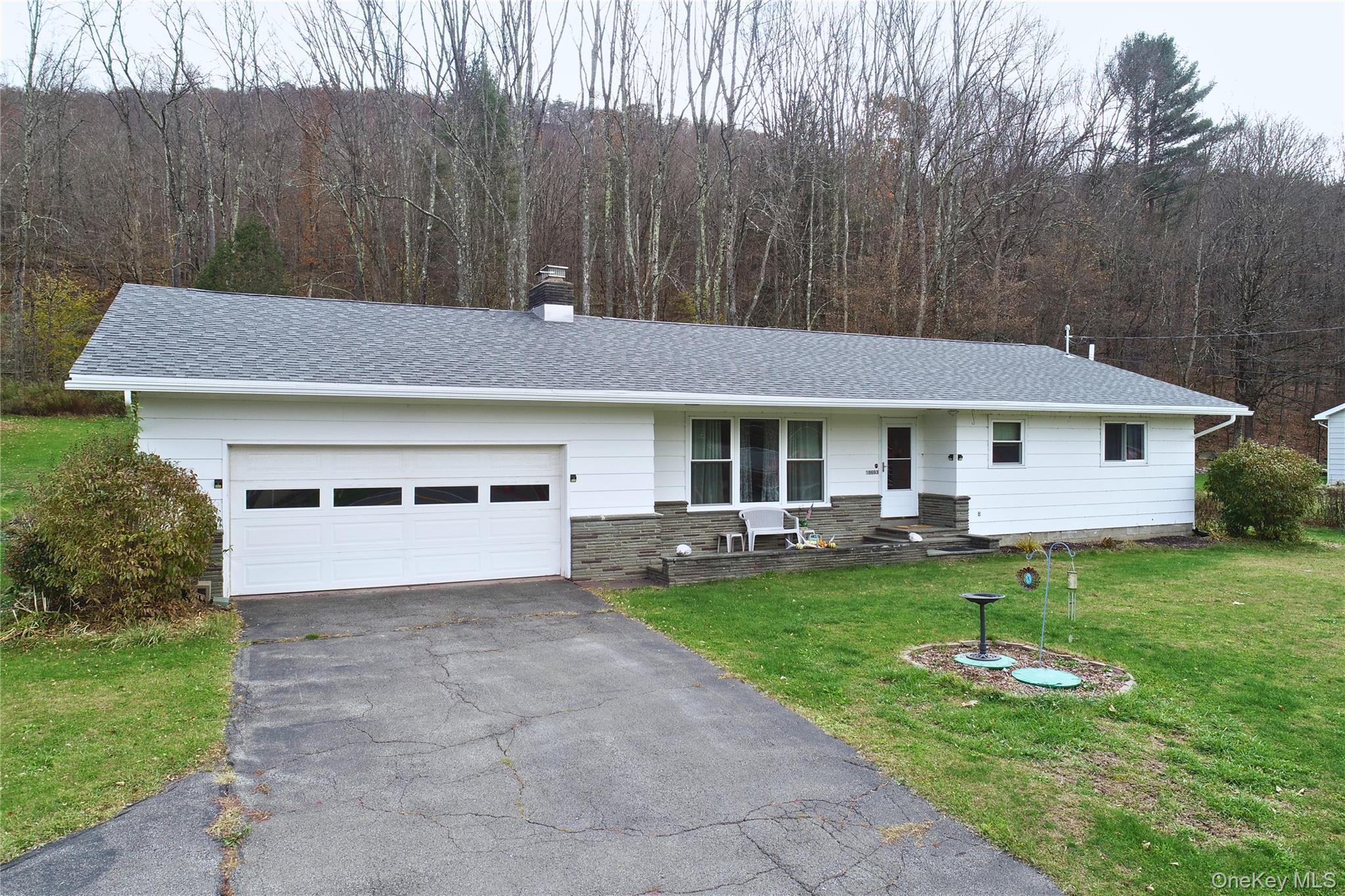Single Family State Highway 28  Delaware County, NY 13753, MLS-930196-2