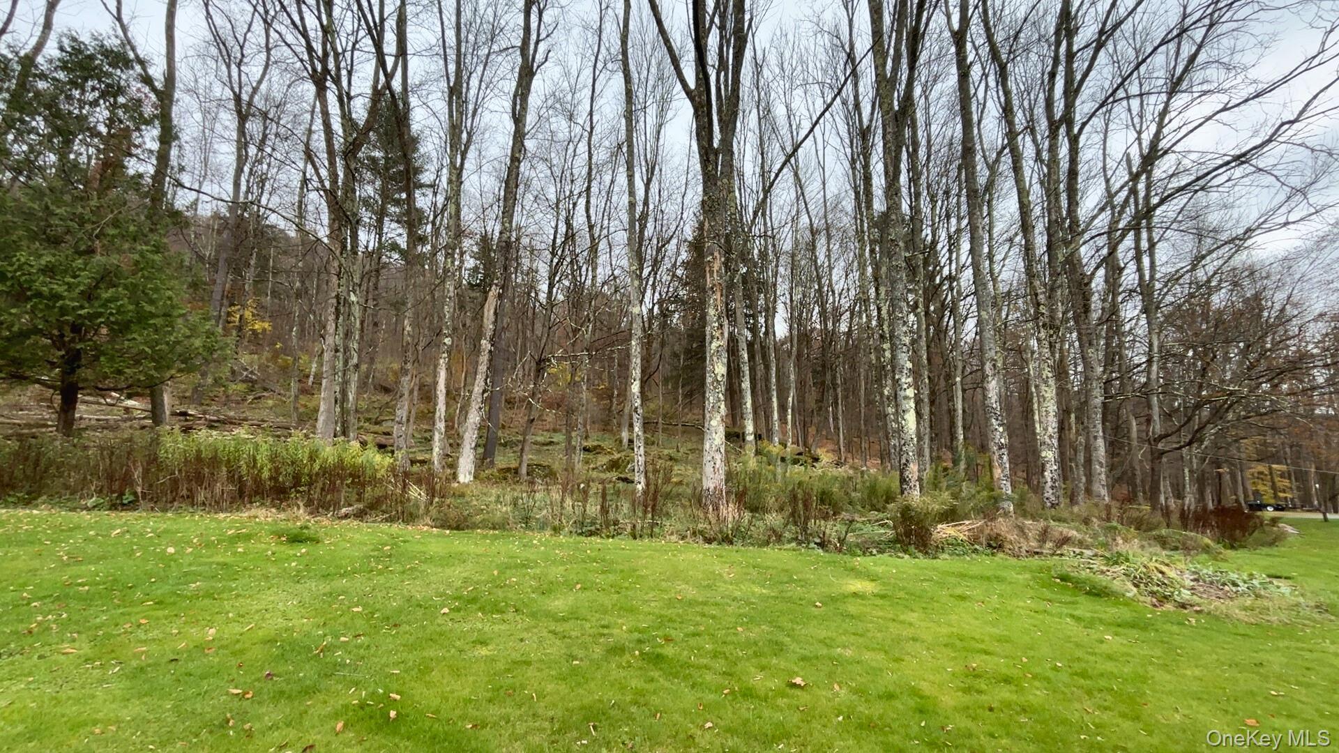 Single Family State Highway 28  Delaware County, NY 13753, MLS-930196-29