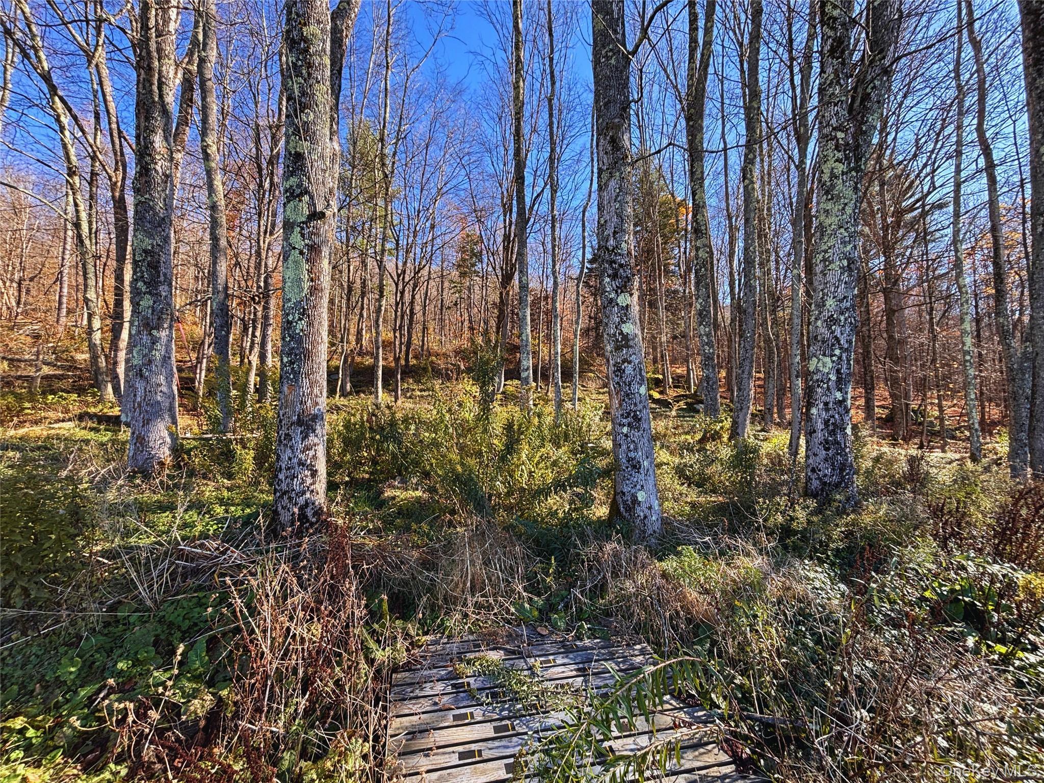 Single Family State Highway 28  Delaware County, NY 13753, MLS-930196-30