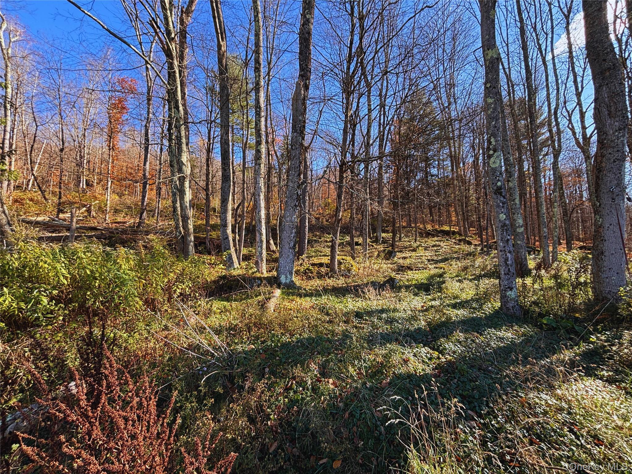 Single Family State Highway 28  Delaware County, NY 13753, MLS-930196-31