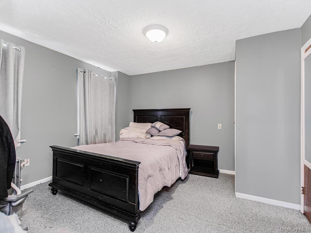 Single Family Carpenter Bronx, NY 10470, MLS-930216-10