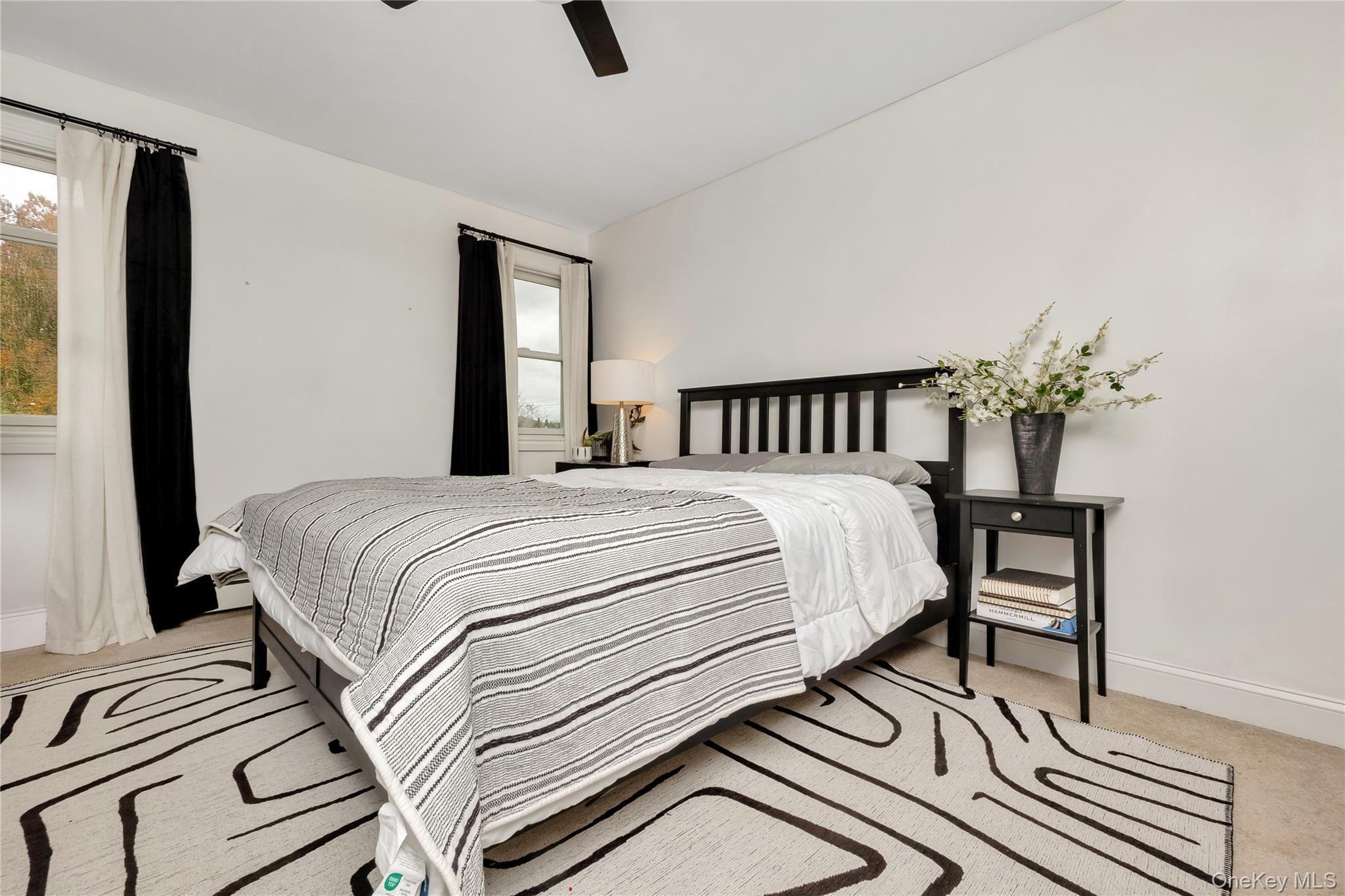 Single Family Park Nassau County, NY 11793, MLS-930241-17