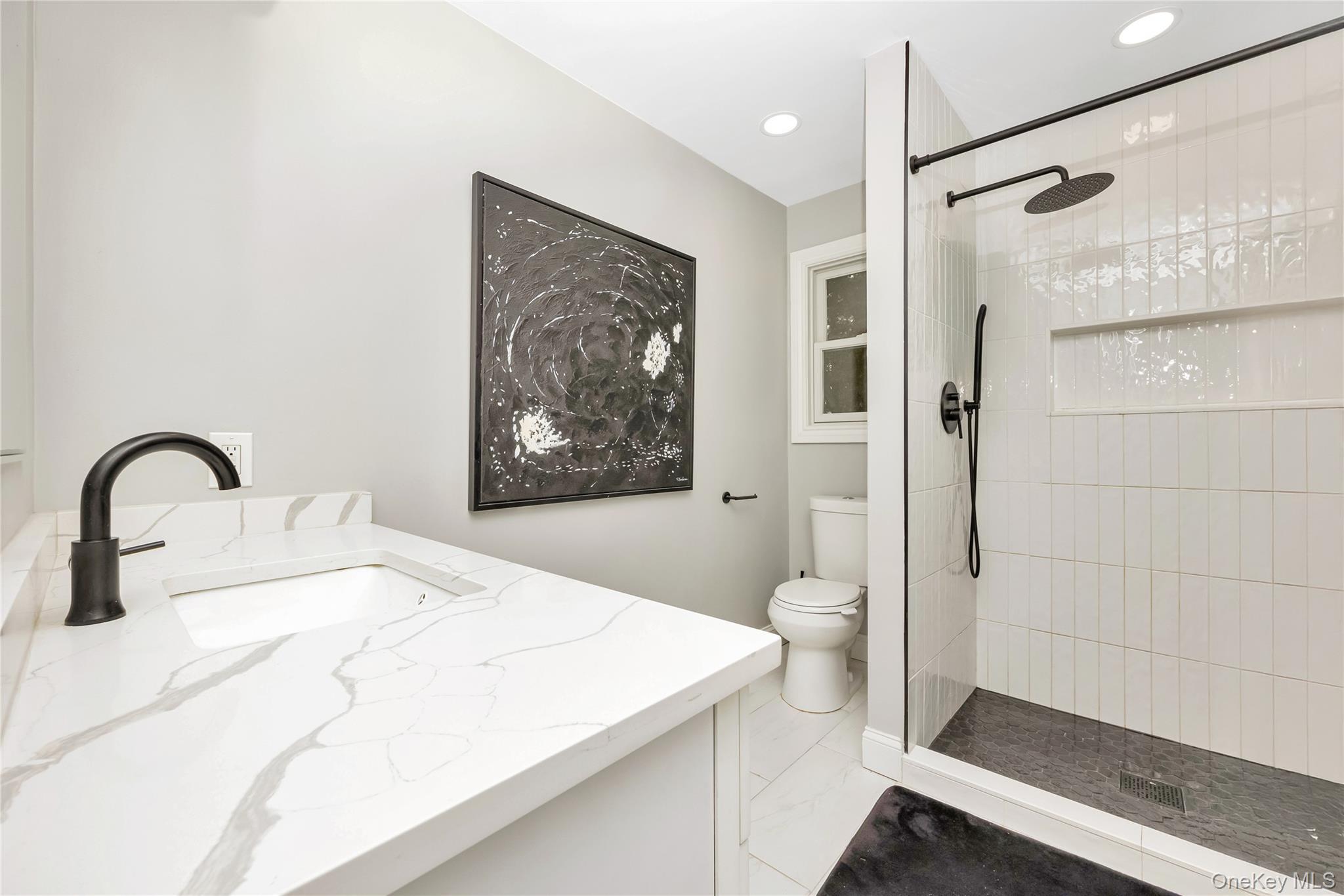 Single Family Park Nassau County, NY 11793, MLS-930241-22