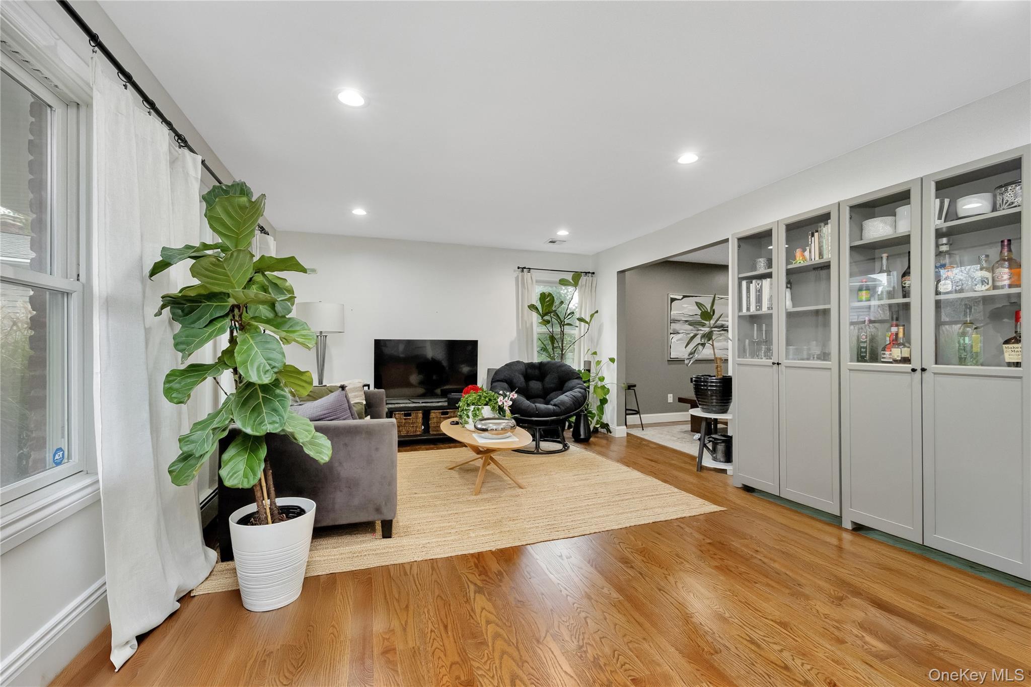 Single Family Park Nassau County, NY 11793, MLS-930241-3