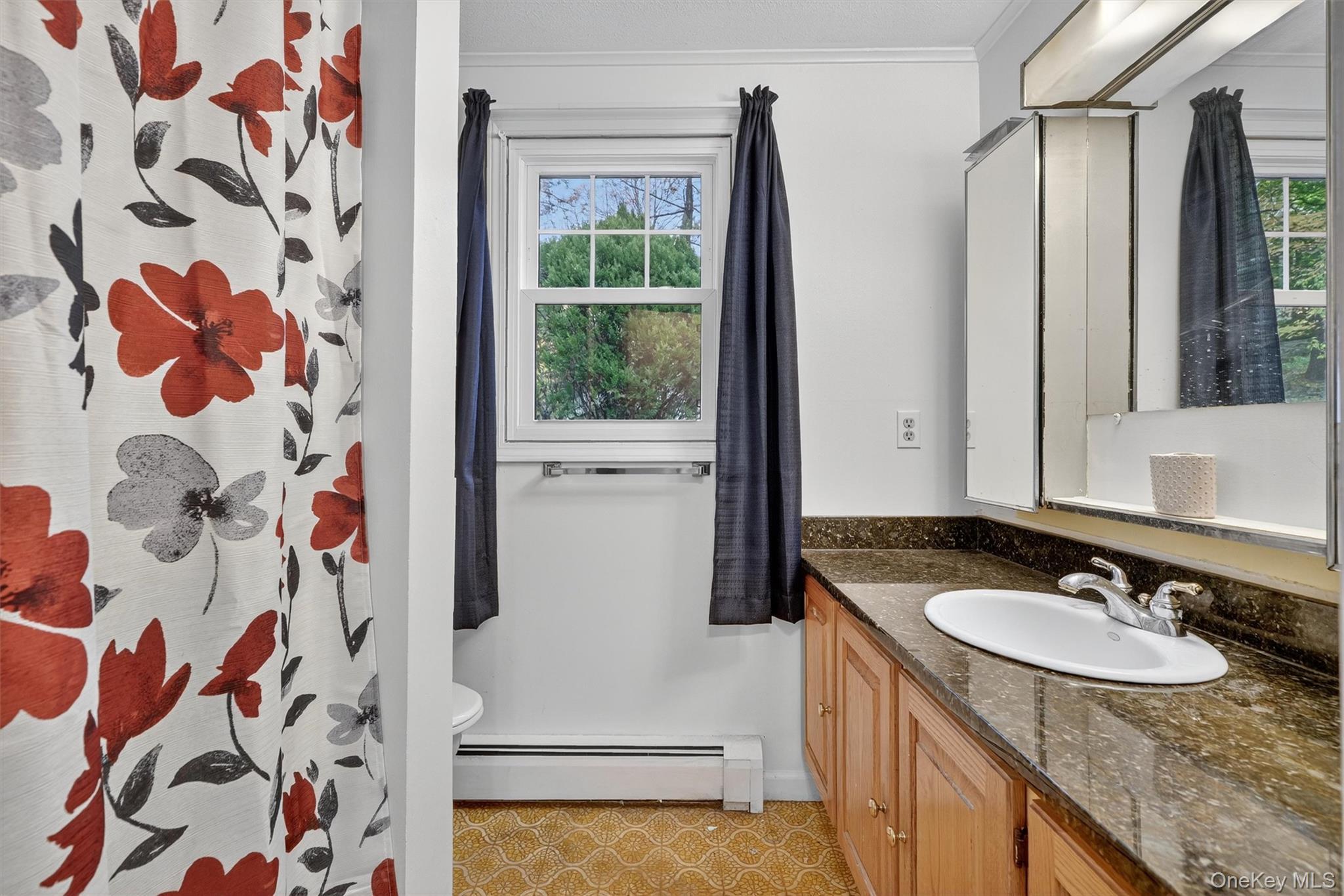 Single Family Laurel Hill  Westchester County, NY 10520, MLS-930275-24