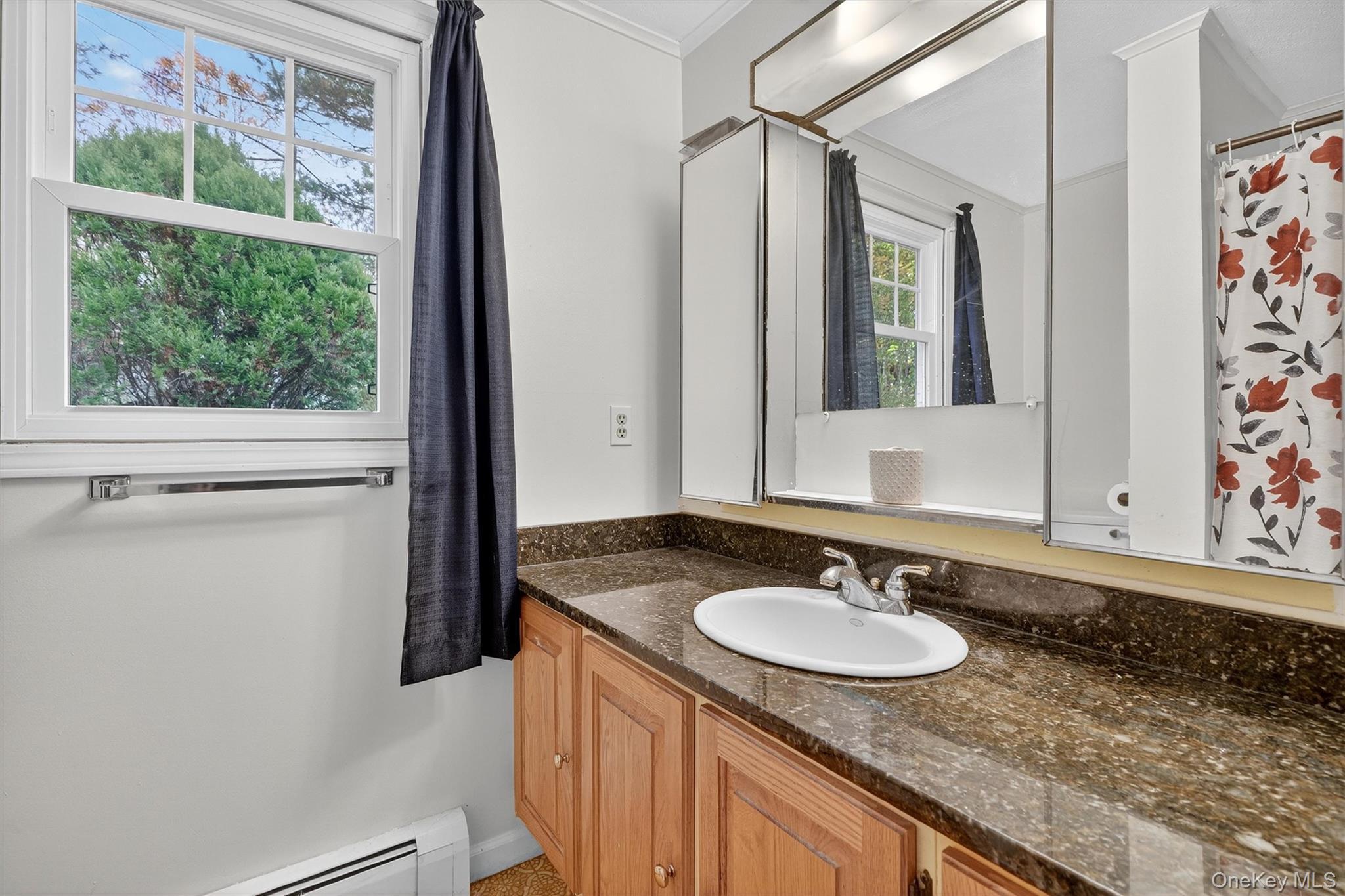 Single Family Laurel Hill  Westchester County, NY 10520, MLS-930275-25