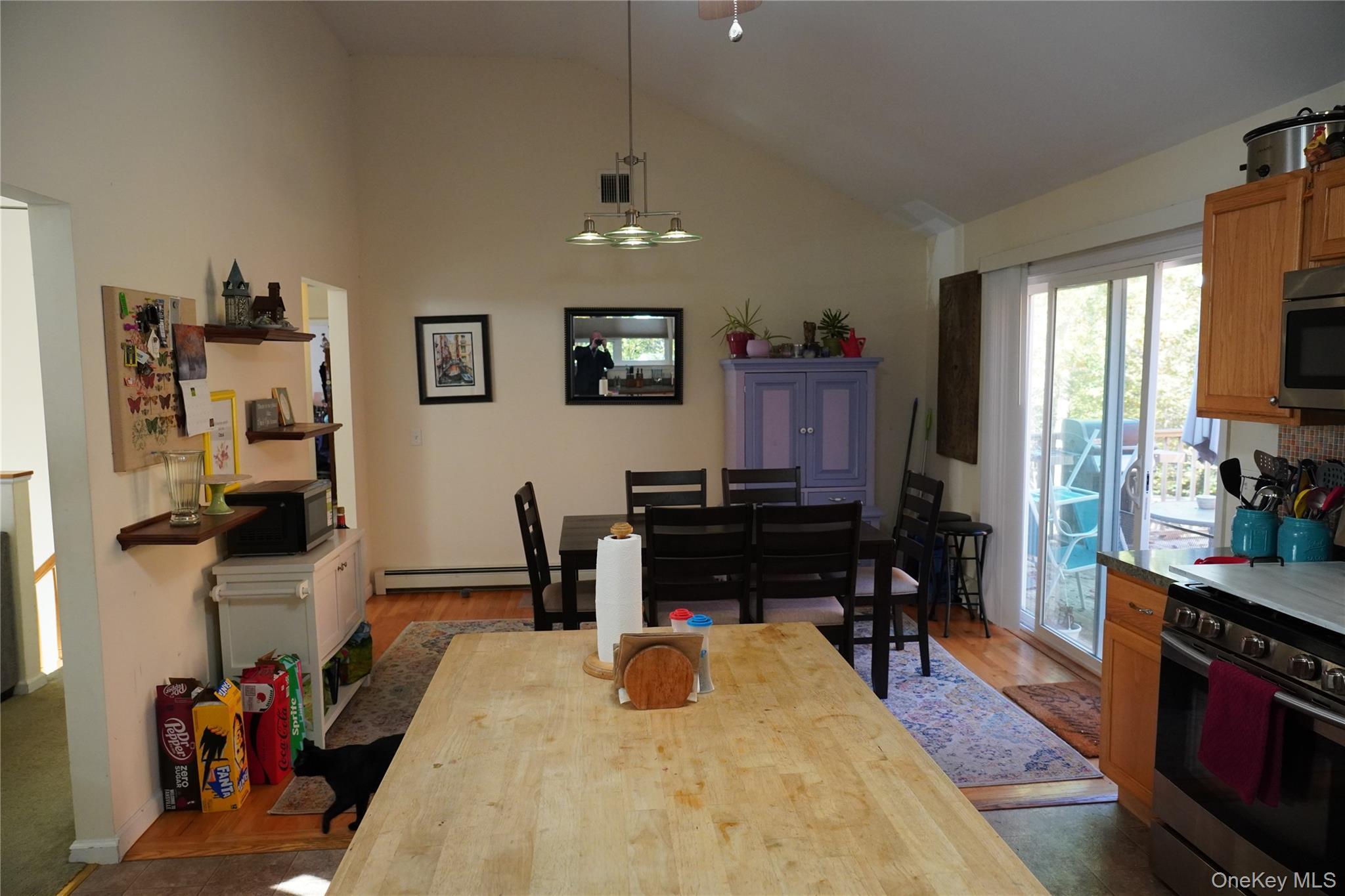 Single Family Pamela  Suffolk County, NY 11961, MLS-930349-10