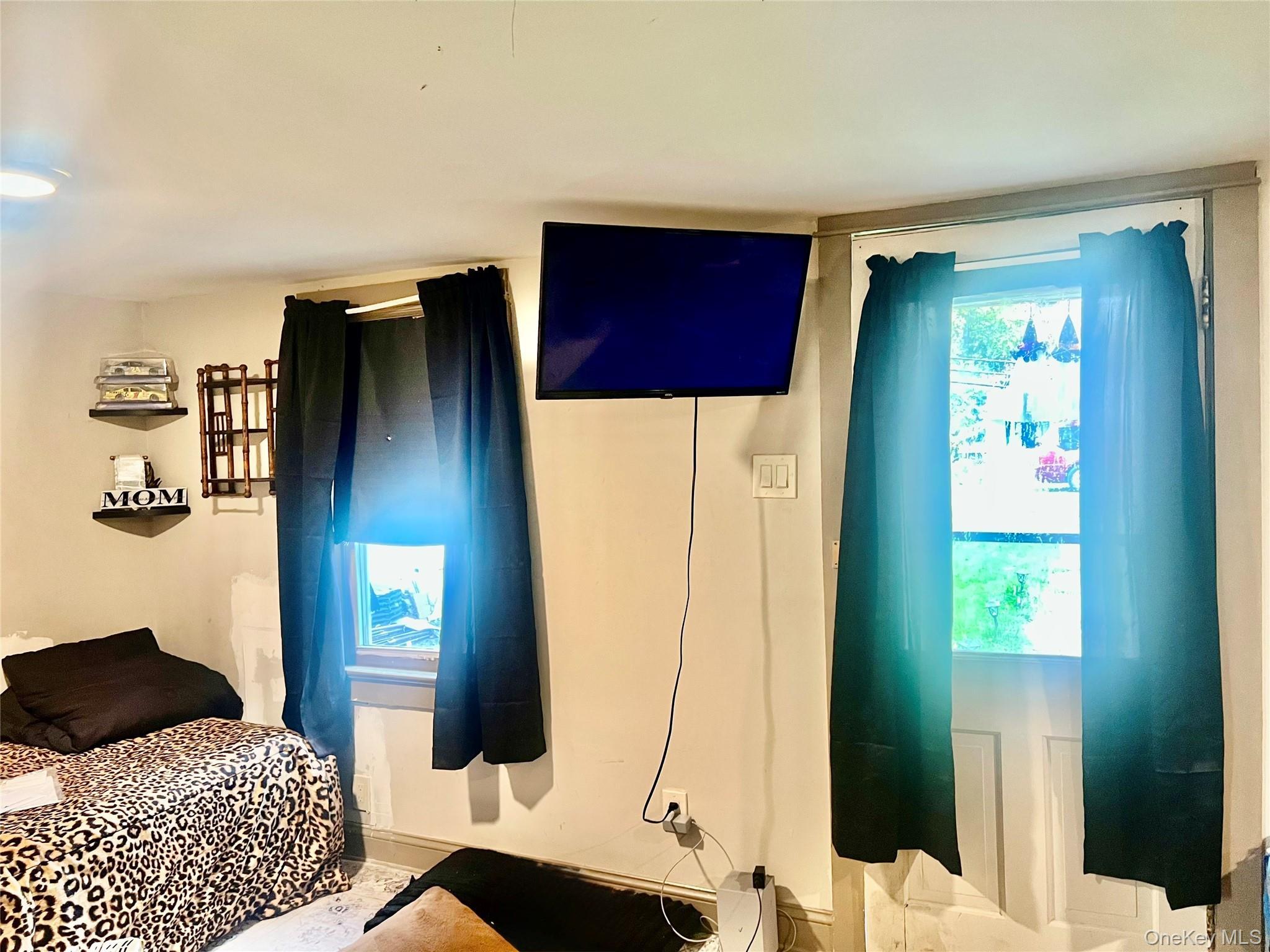 Single Family Mansion  Greene County, NY 12051, MLS-930406-6