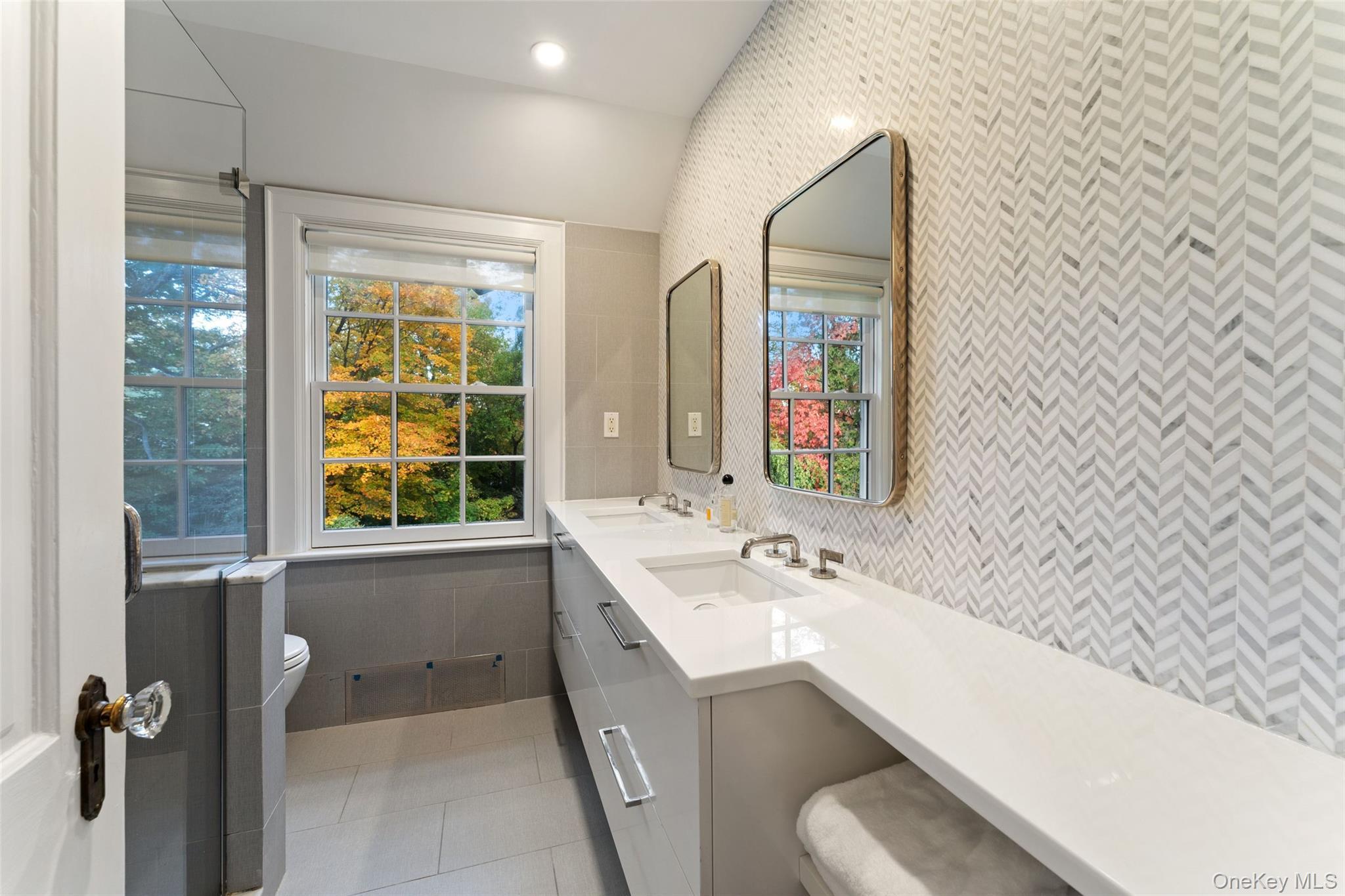 Single Family Broadmoor Westchester County, NY 10583, MLS-930426-27