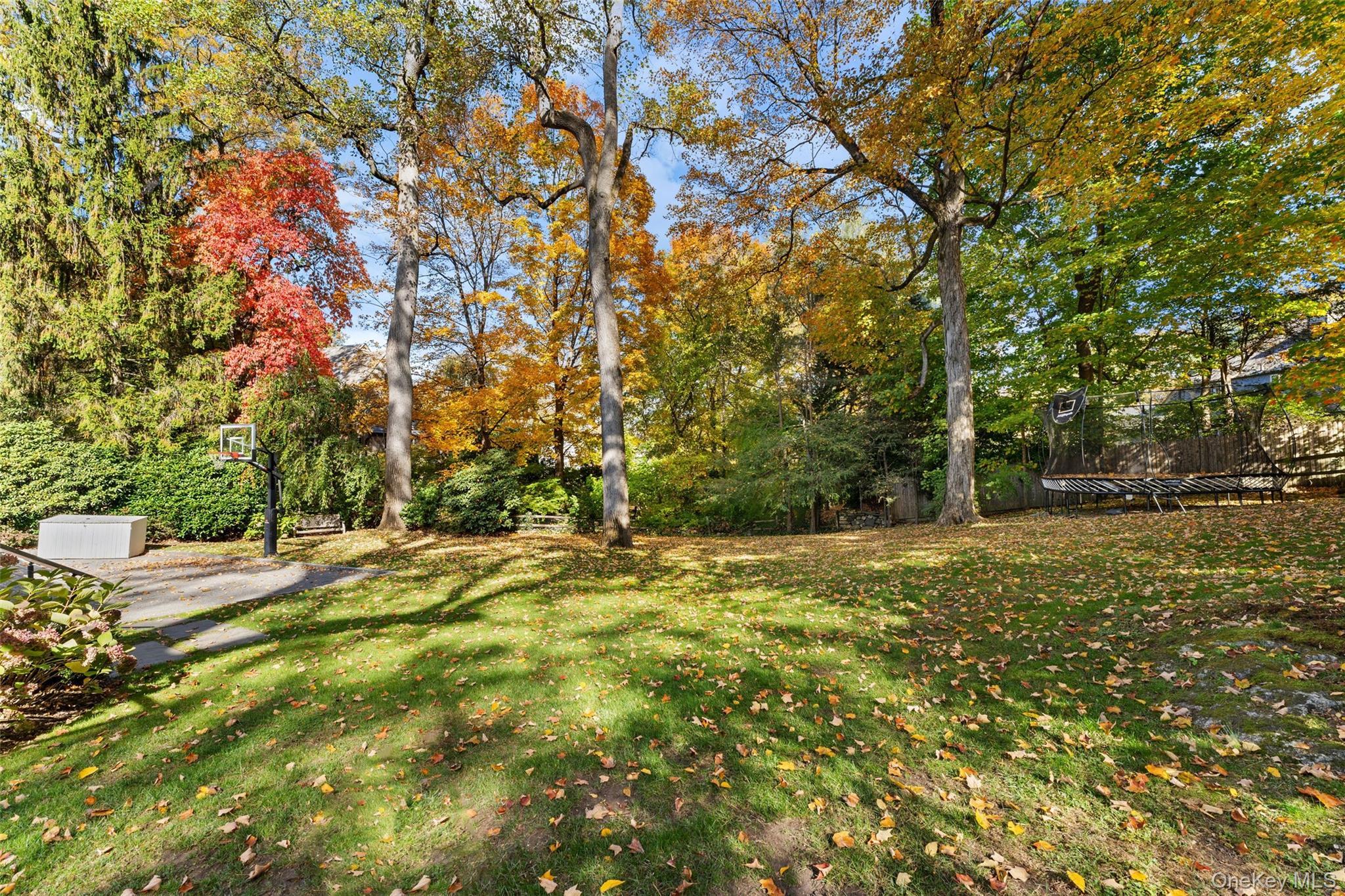 Single Family Broadmoor Westchester County, NY 10583, MLS-930426-39
