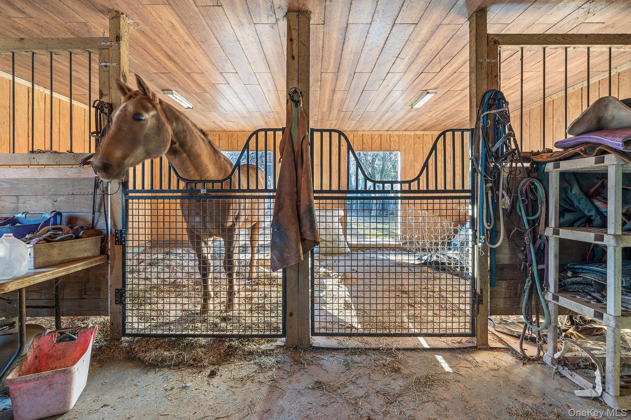 Single Family Atlantic Suffolk County, NY 11722, MLS-930435-24