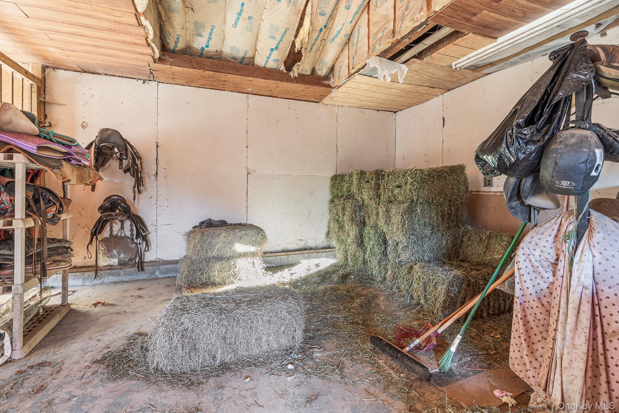 Single Family Atlantic Suffolk County, NY 11722, MLS-930435-25