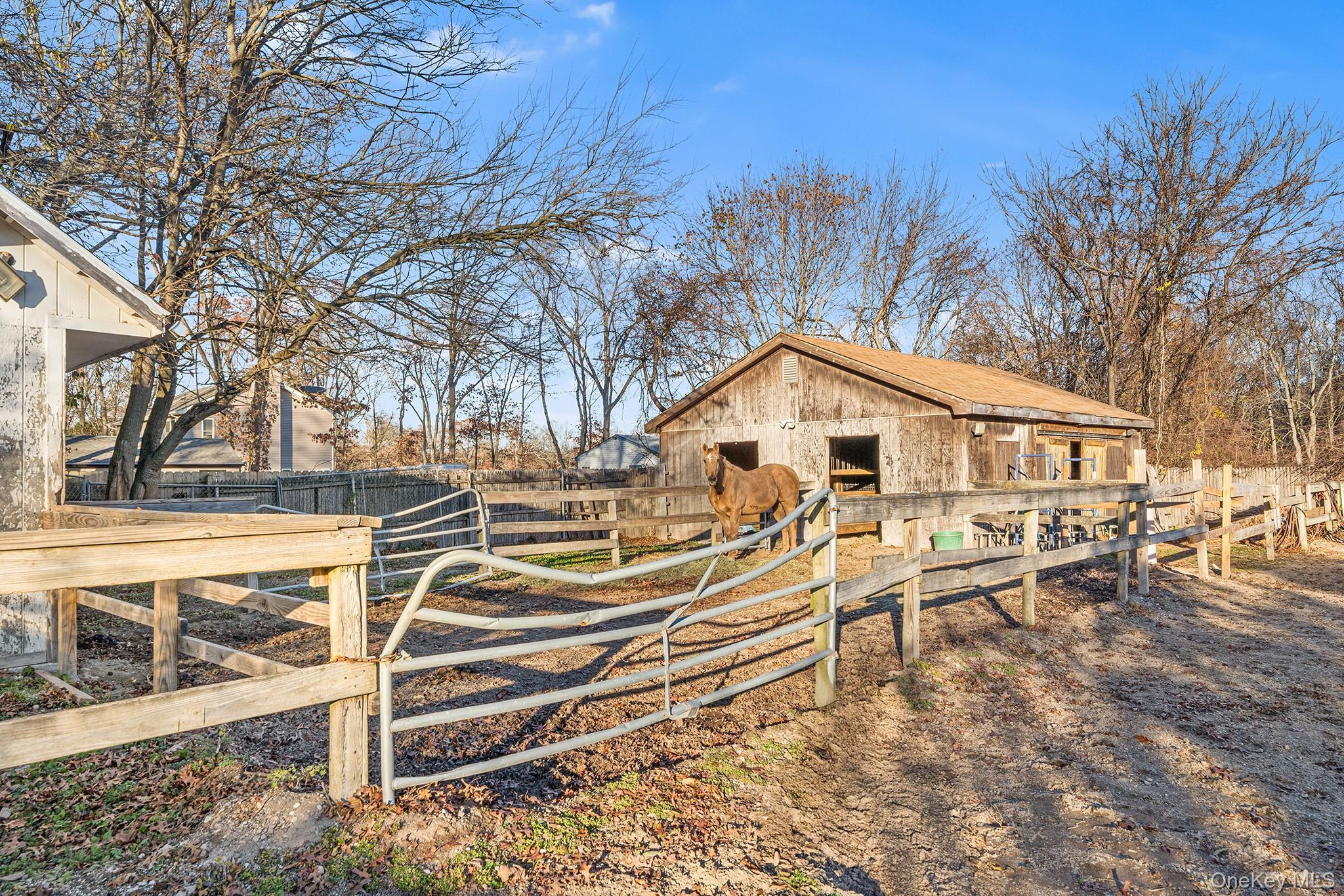 Single Family Atlantic Suffolk County, NY 11722, MLS-930435-34