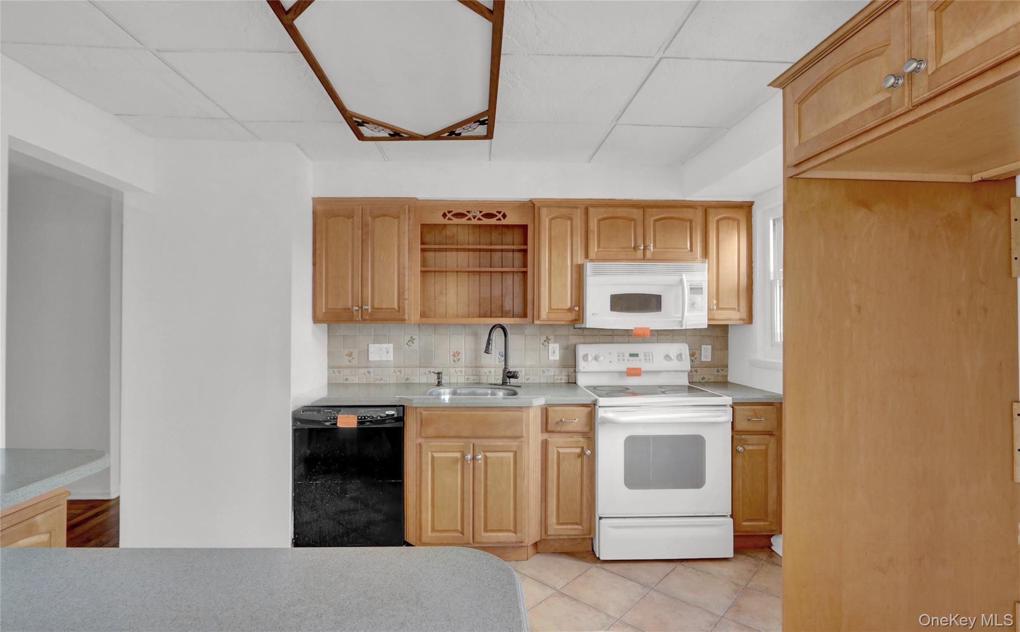 Single Family Roy  Nassau County, NY 11552, MLS-930467-6