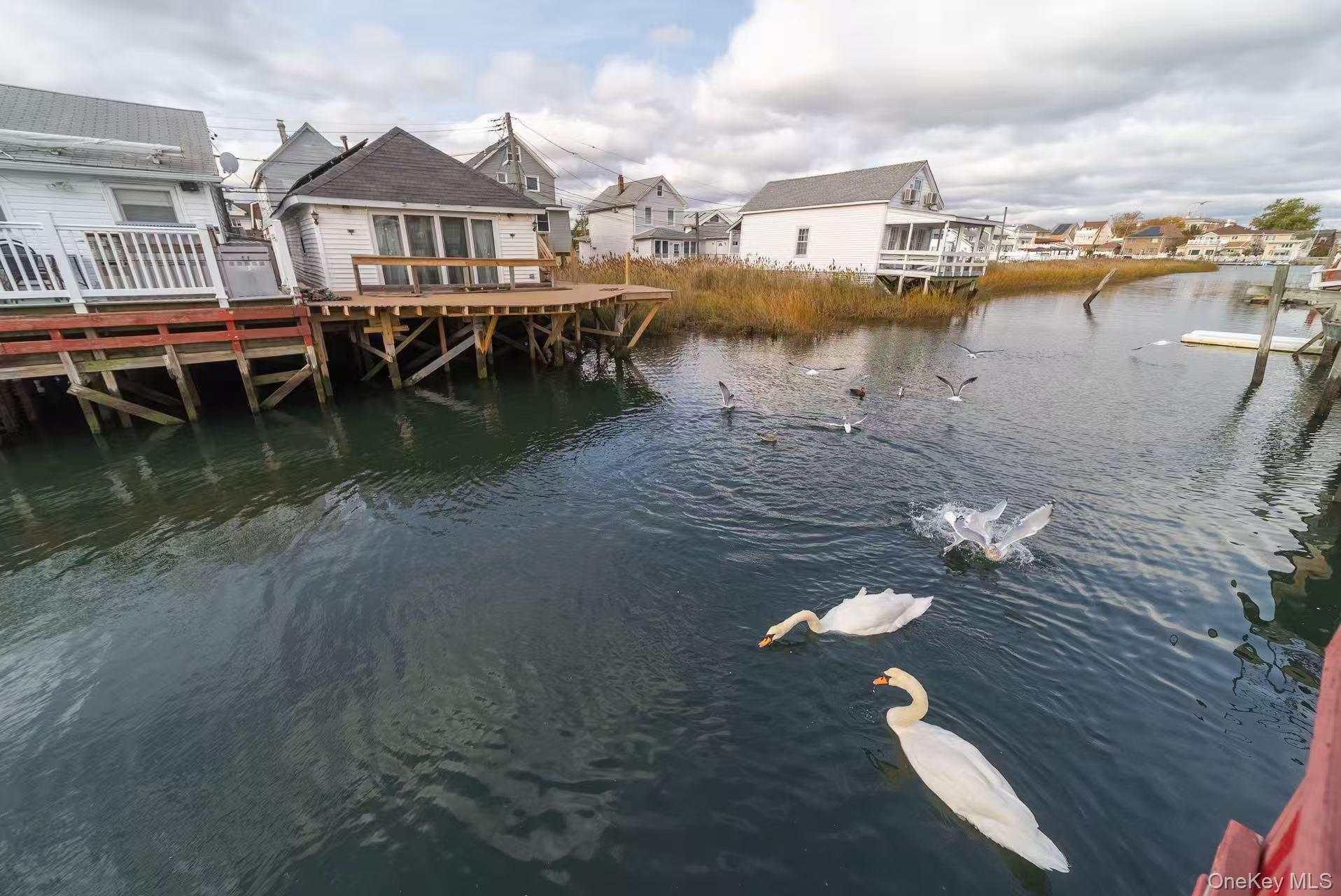 Single Family Street Queens, NY 11414, MLS-930468-9